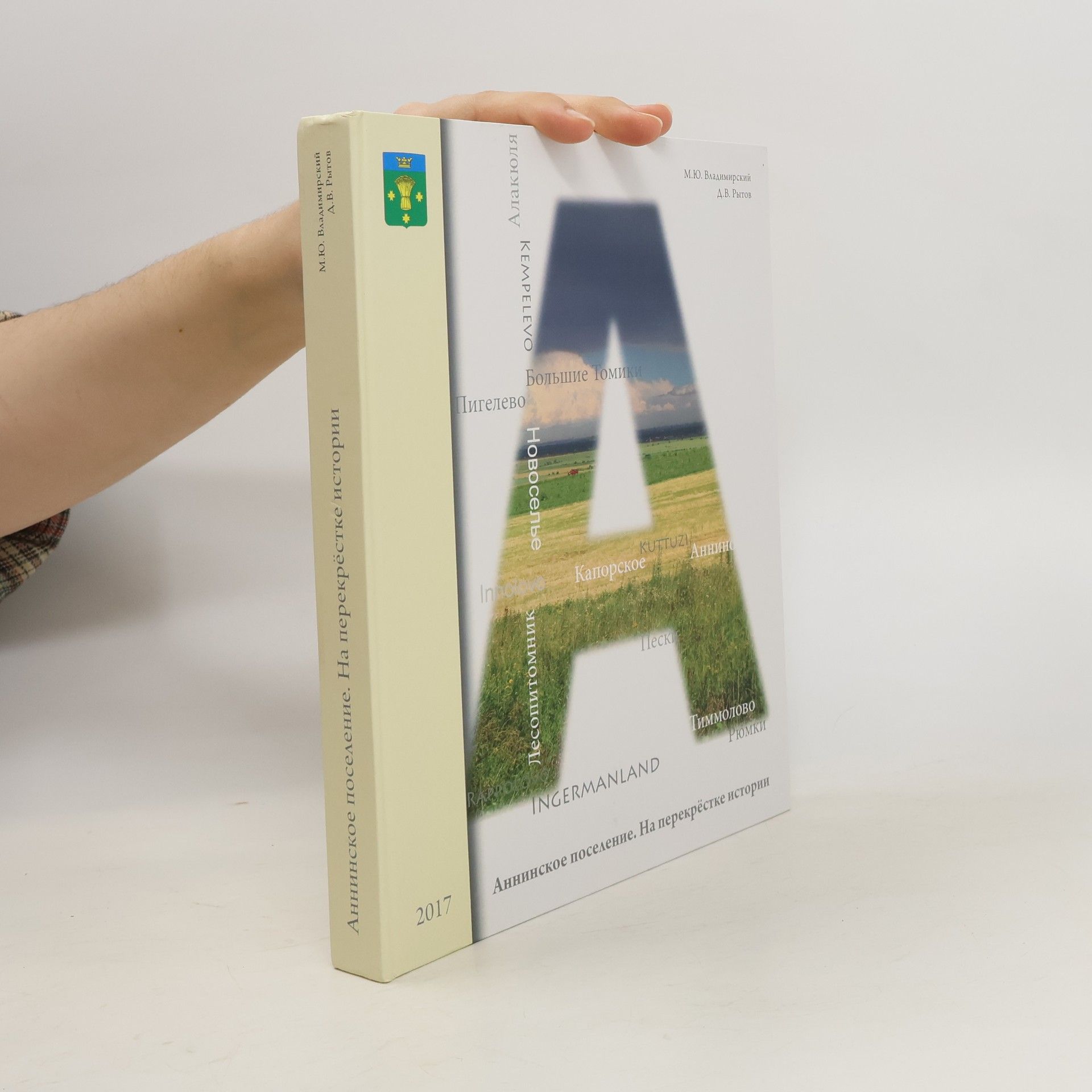 M. Yu. Vladimirskiy Аннинское поселение. На перекрёстке истории