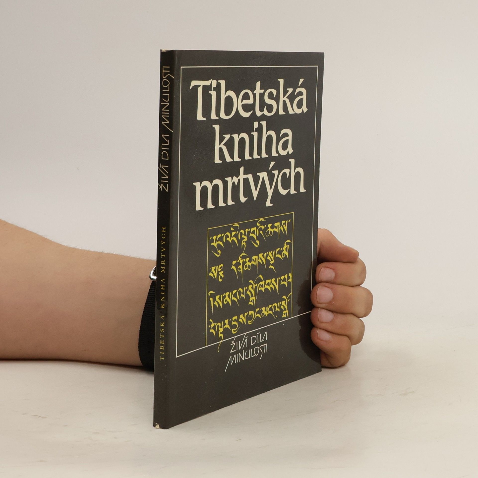 Collective Tibetská kniha mrtvých
