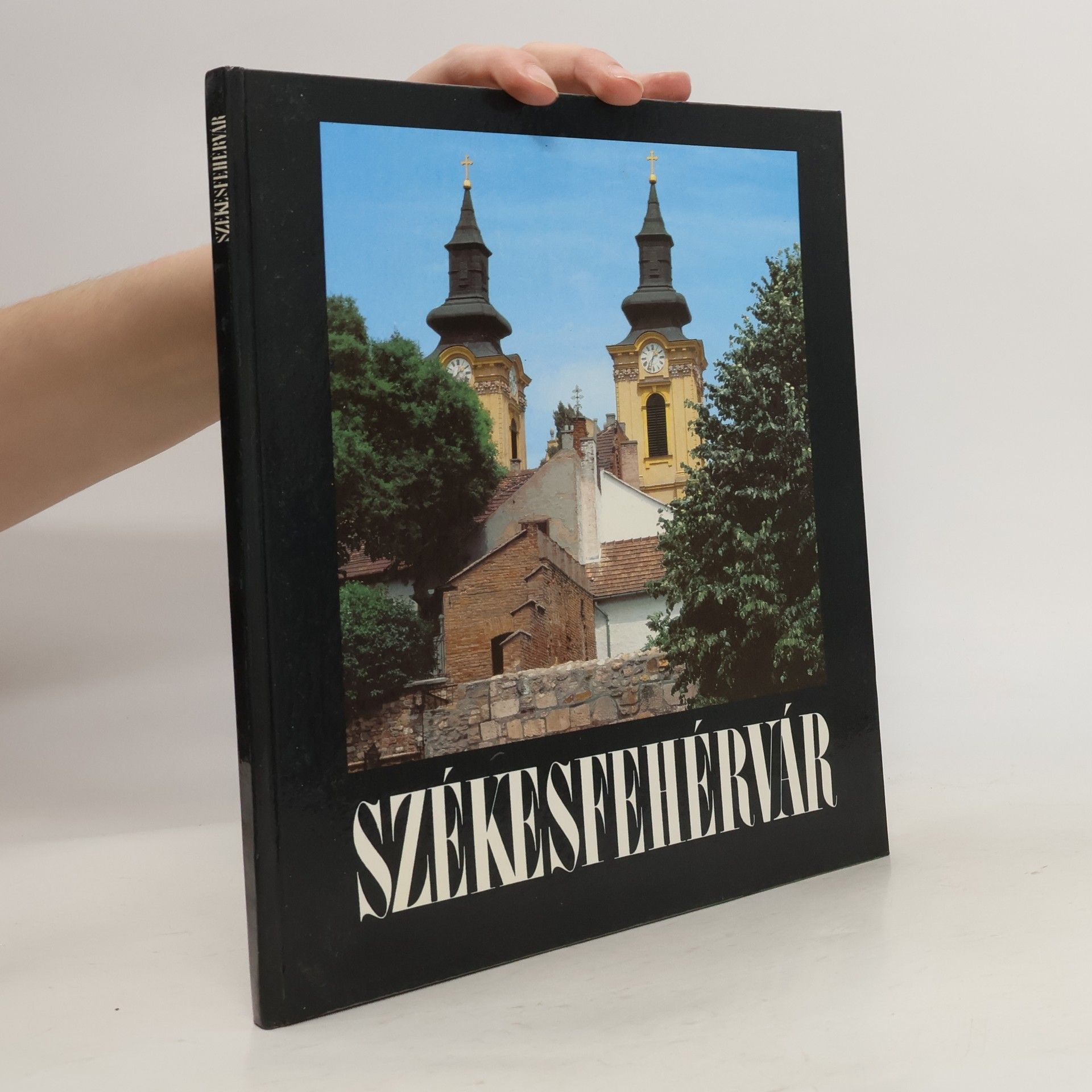 Autorenkollektiv Székesfehérvár