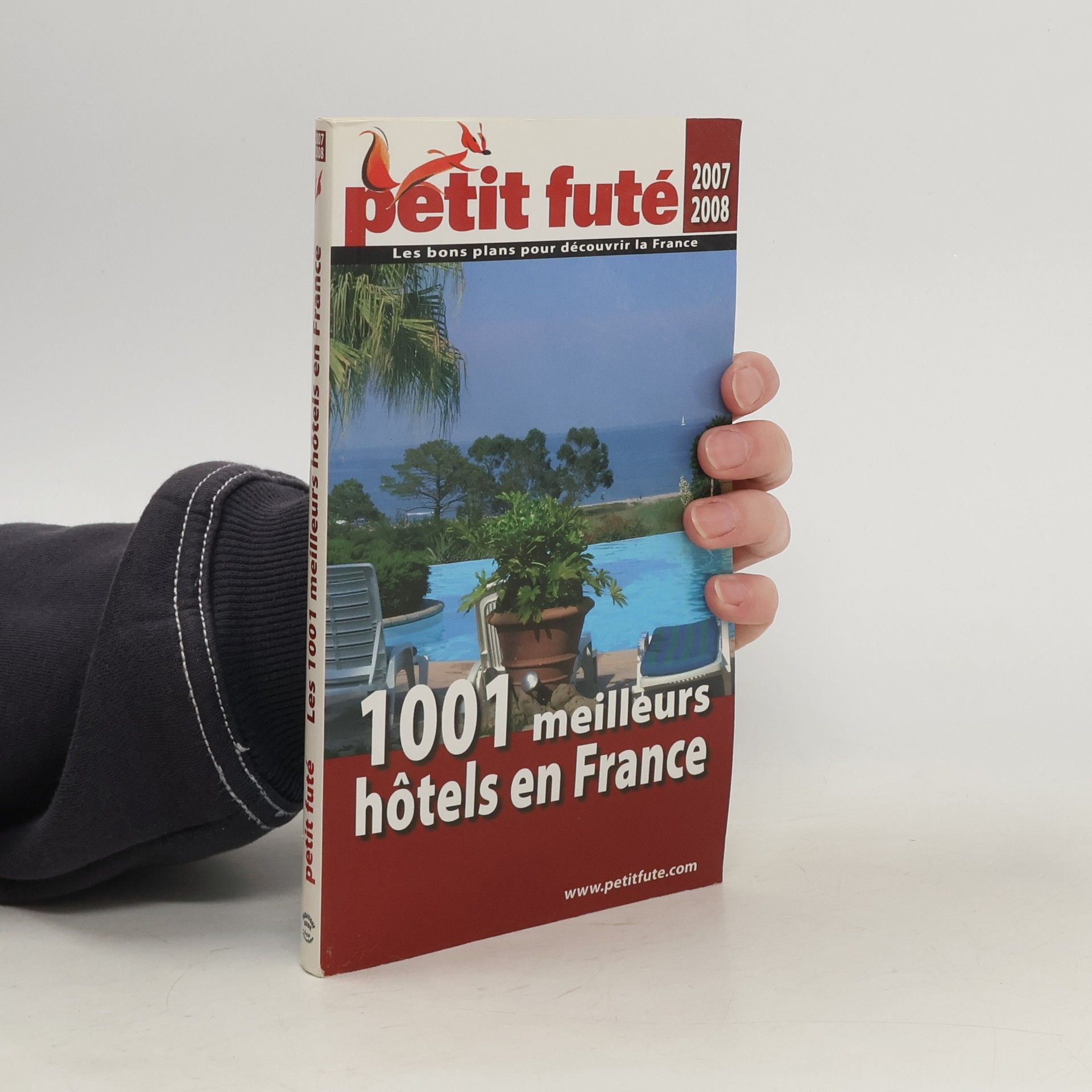 Collectif d'auteurs Petit Fute. 1001 meilleurs hotels en France