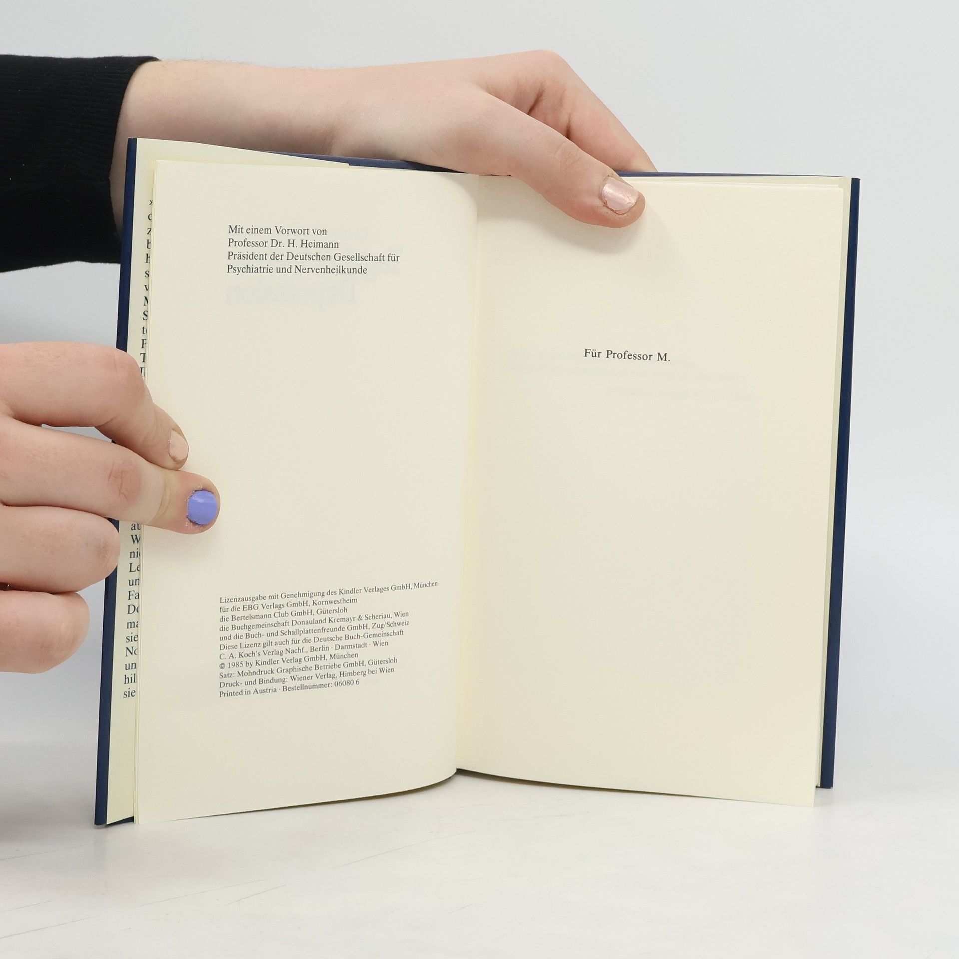 Ursula Goldmann-Posch Tagebuch einer Depression