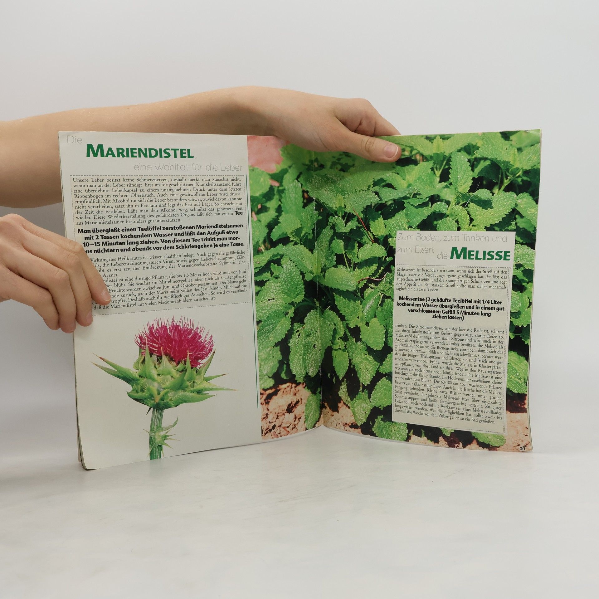 kolektiv Sammel Album Natürliche Hausmittel