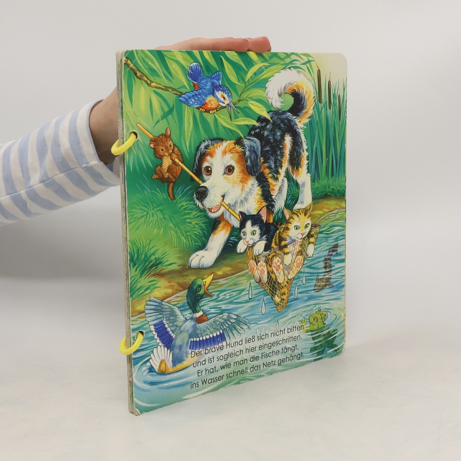 AA.VV. Der brave Hund ließt sich nicht bitten und ist sogleich hier eingeschritten