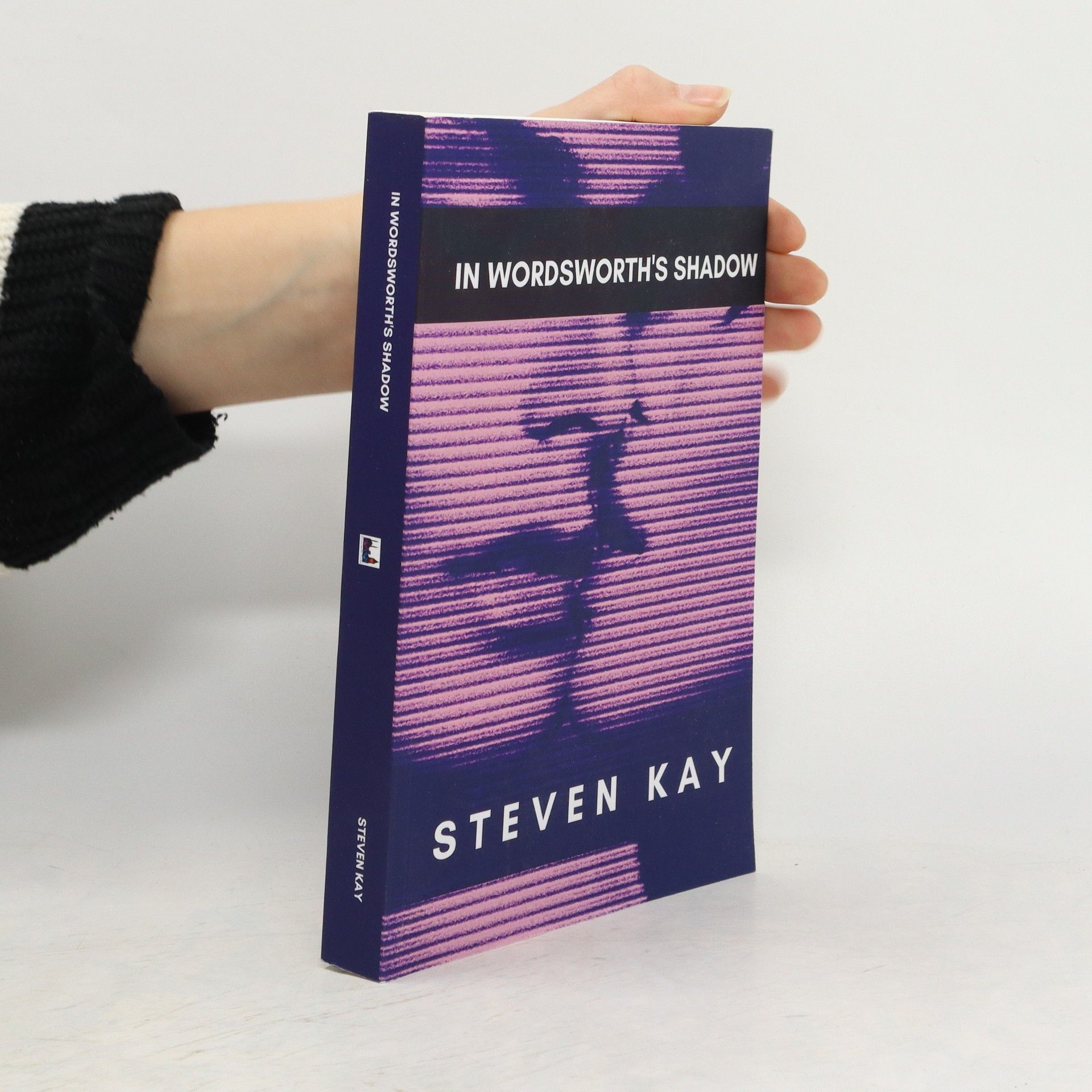 Steven Kay In Wordsworth’s Shadow