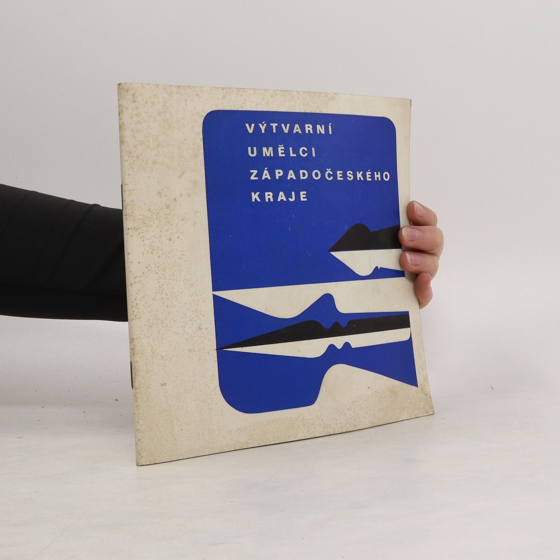 Kolektív autorov Výtvarní umělci Západočeského kraje