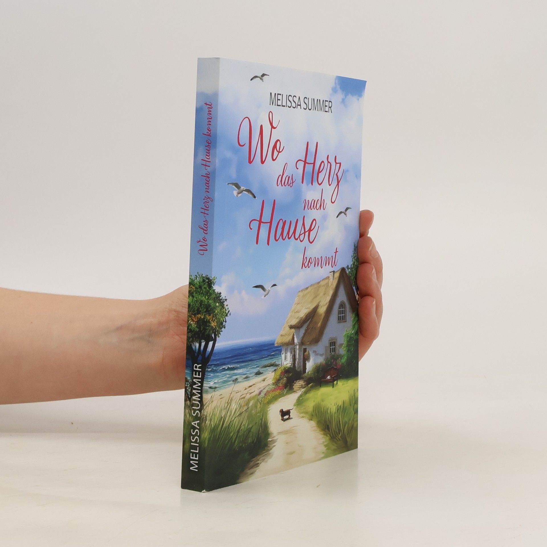 Melissa Summer Wo das Herz nach Hause kommt