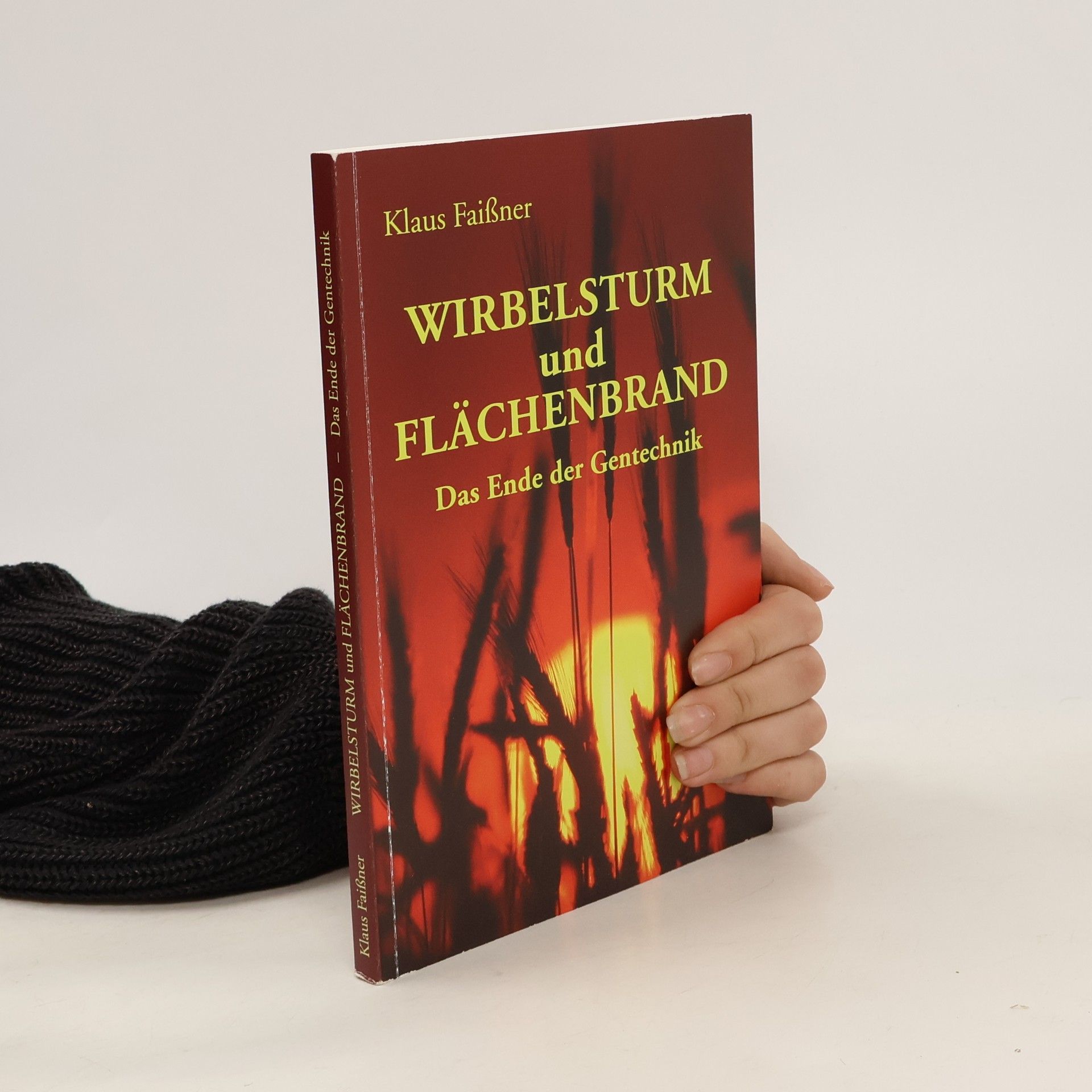 Wirbelsturm und Flächenbrand