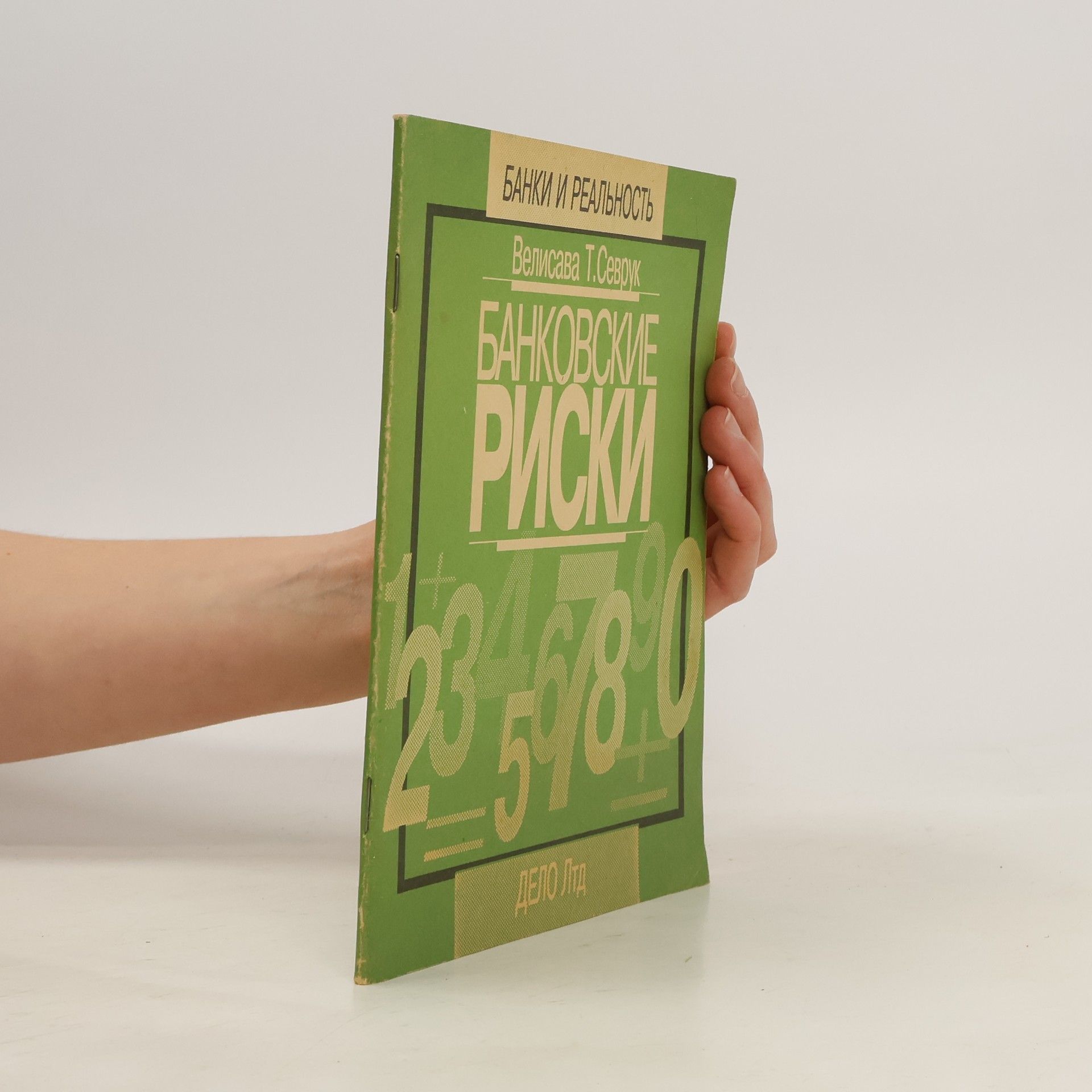 Velisava T. Sevruk Банковские Риски