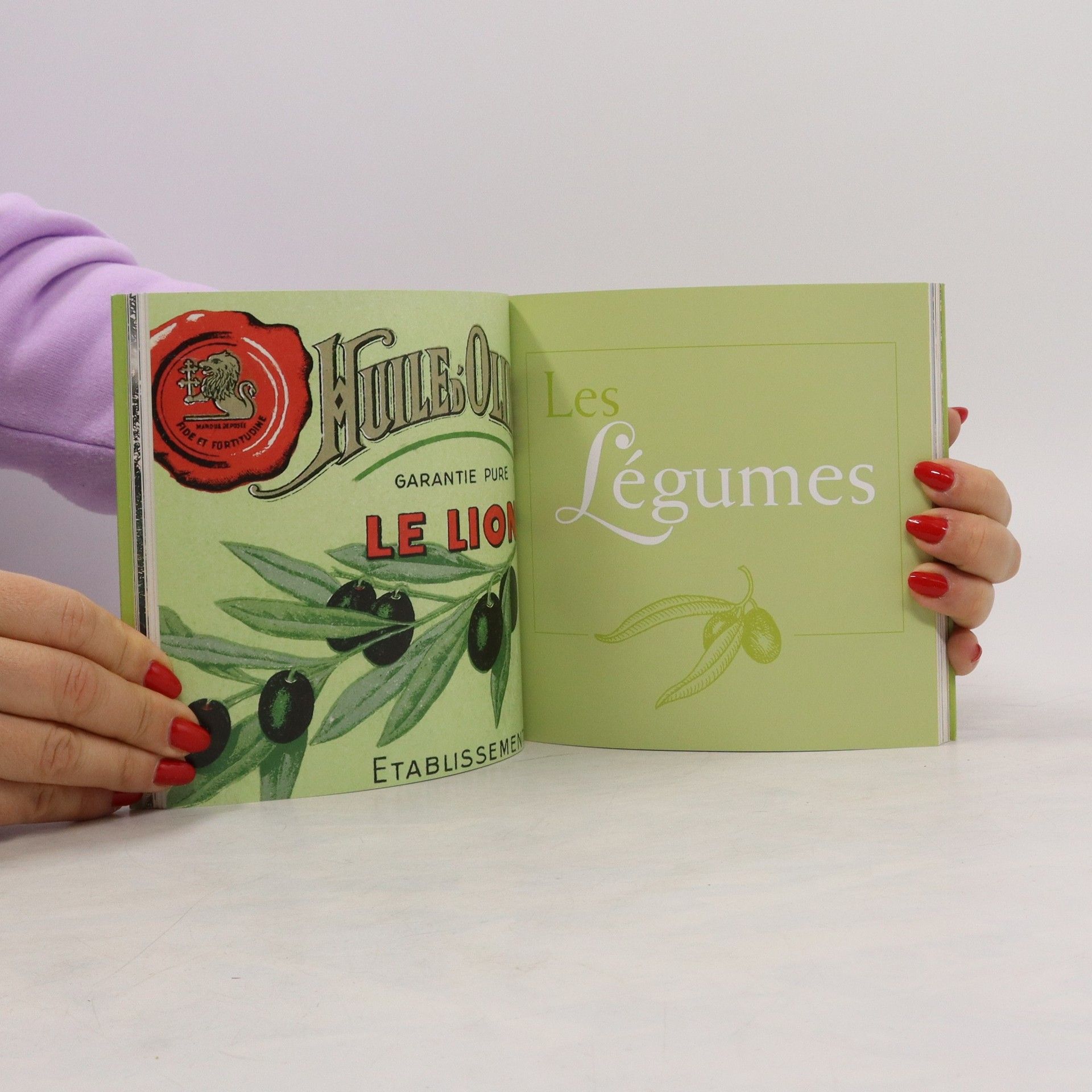 Bernard Giani De l'Huile et de l'Olive. Recettes de Chefs