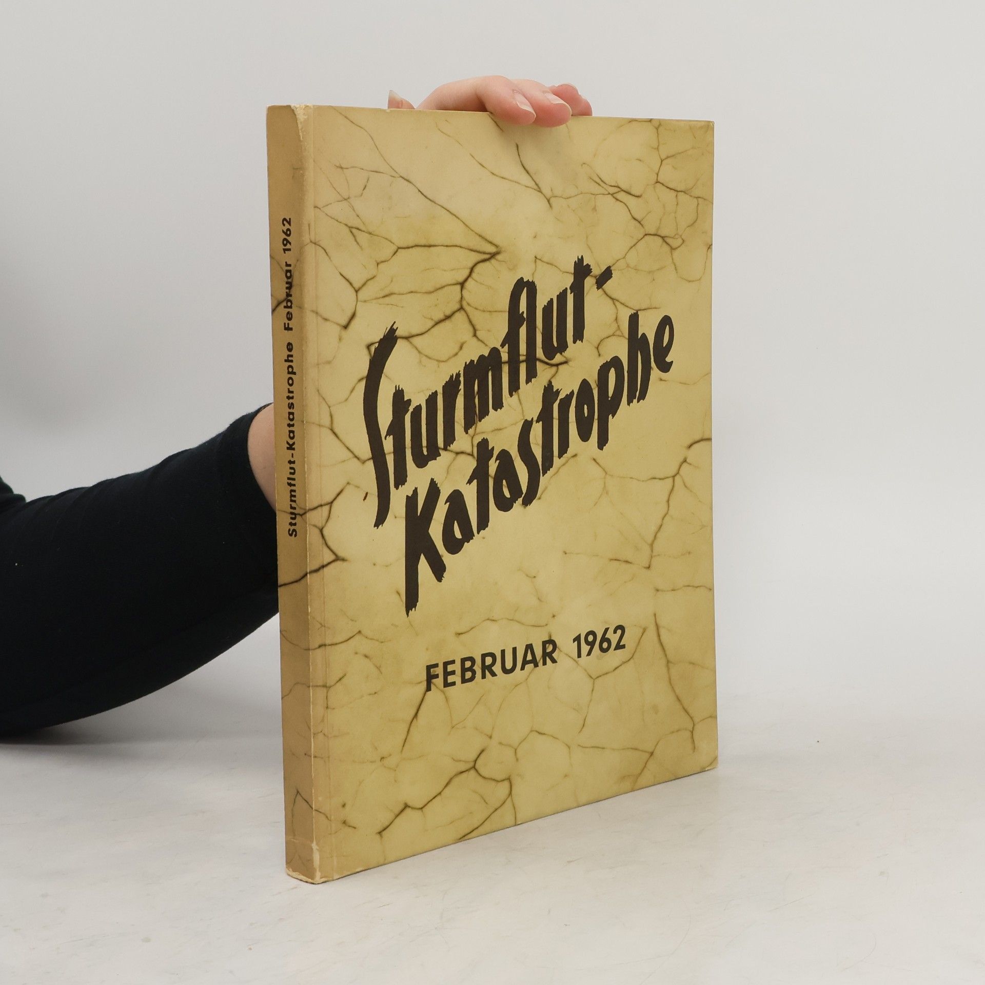 Autorenkollektiv Sturmflut-Katastrophe im Februar 1962