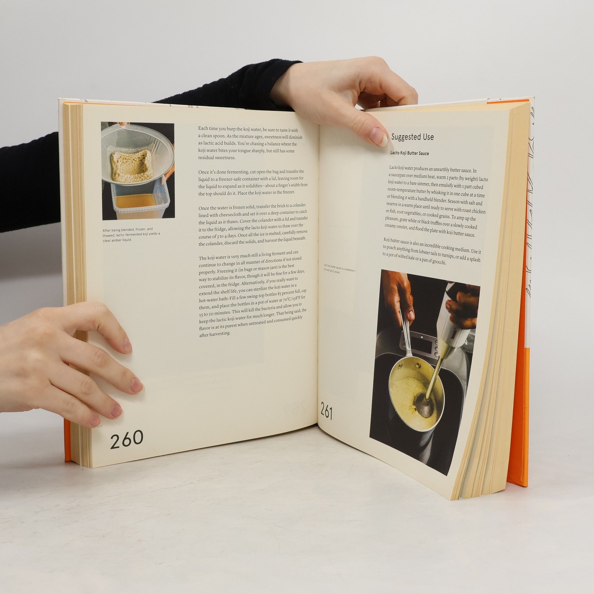René Redzepi The Noma Guide to Fermentation