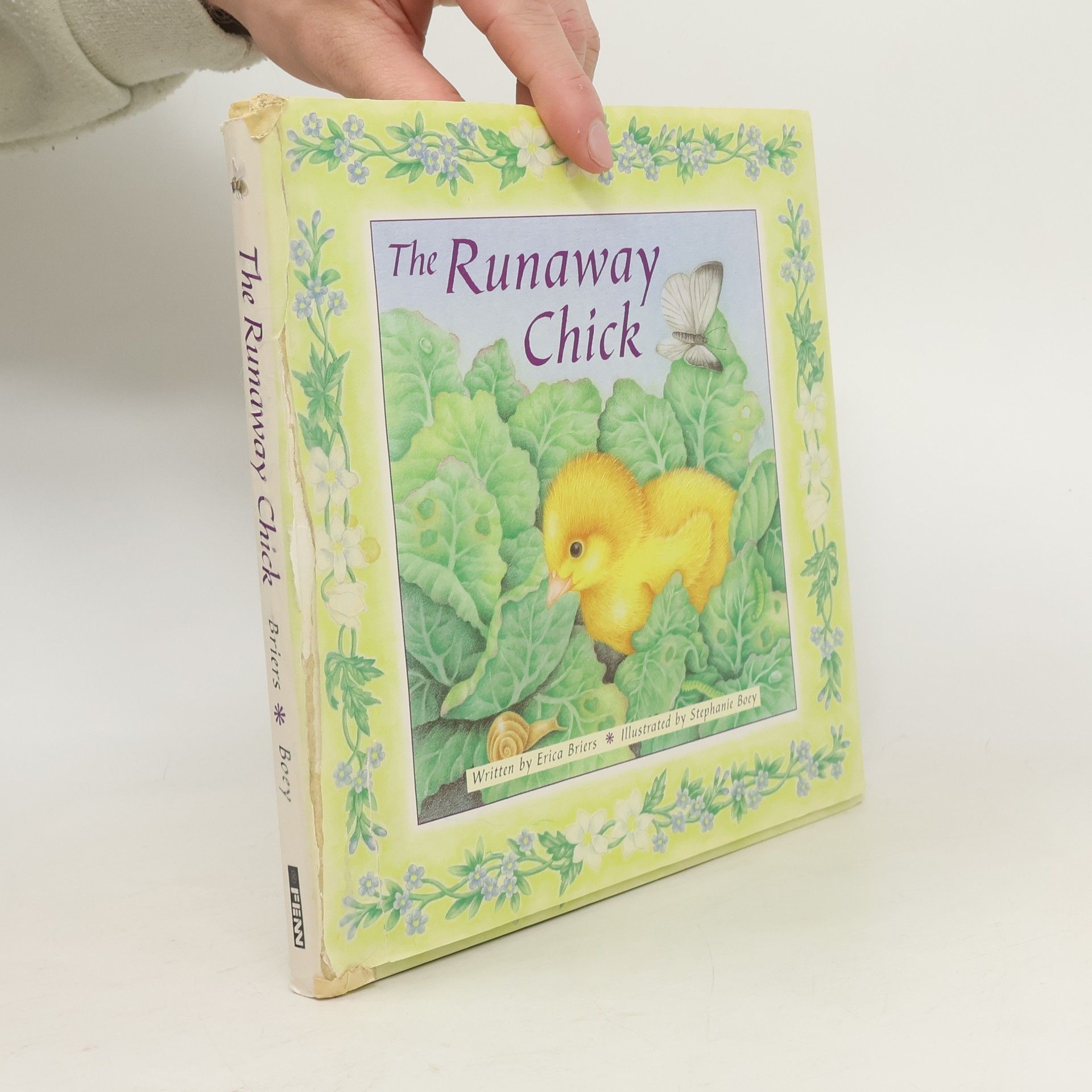 Erica Briers The Runaway Chick