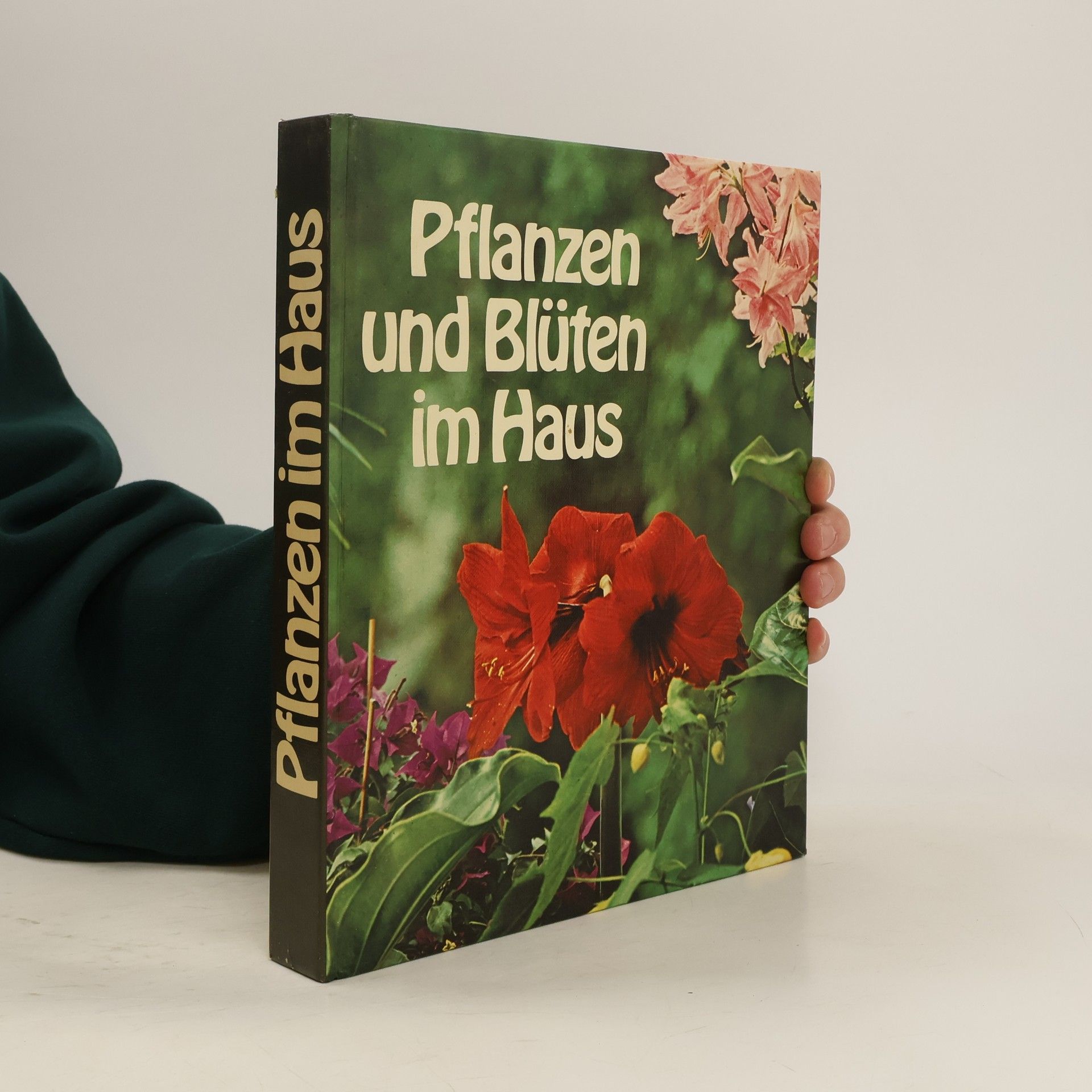 Autorenkollektiv Planzen und Blüten im Haus