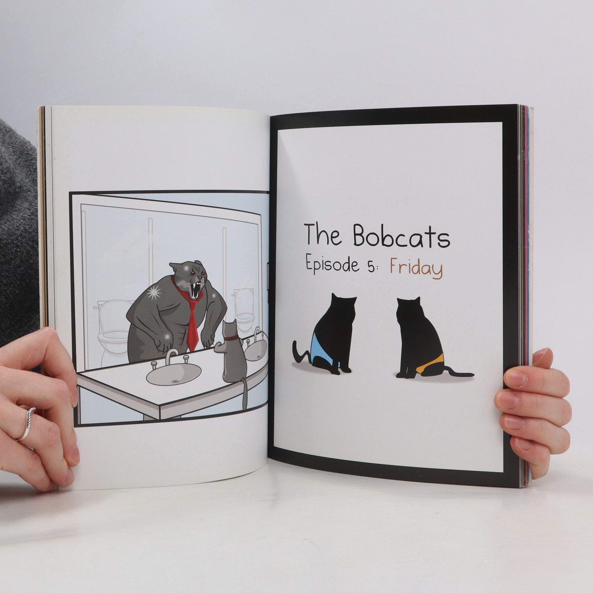 The Oatmeal How to tell if your cat is plotting to kill you