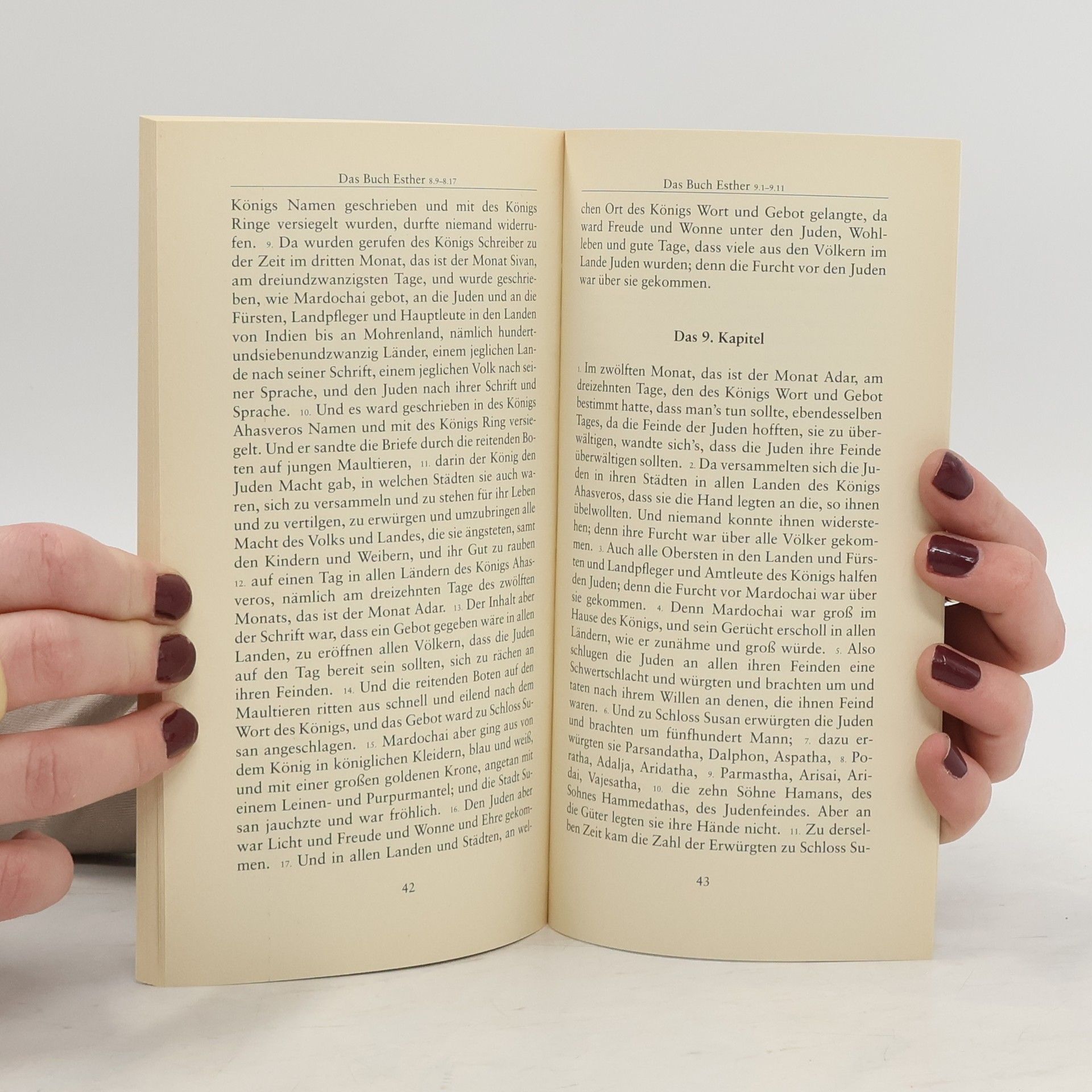 Autorenkollektiv Das Bibel Projekt. Die Bücher Ruth und Ester