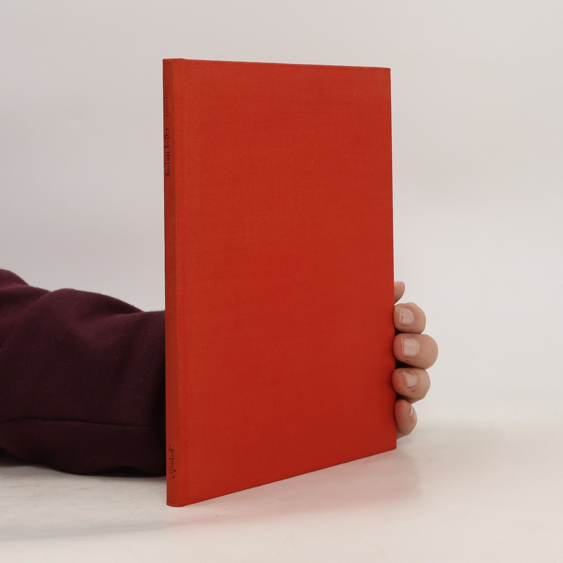 Herbert Koller Rauschen