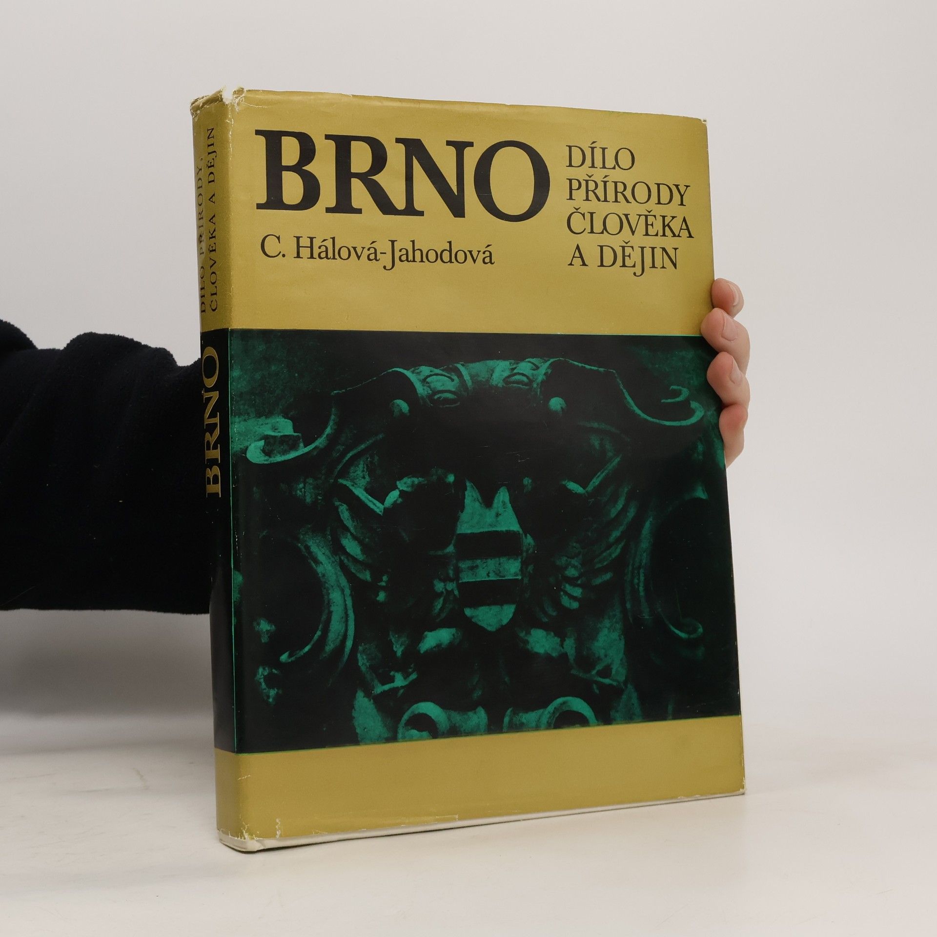 C. Hálová-Jahodová Brno. Dílo přírody, člověka a dějin