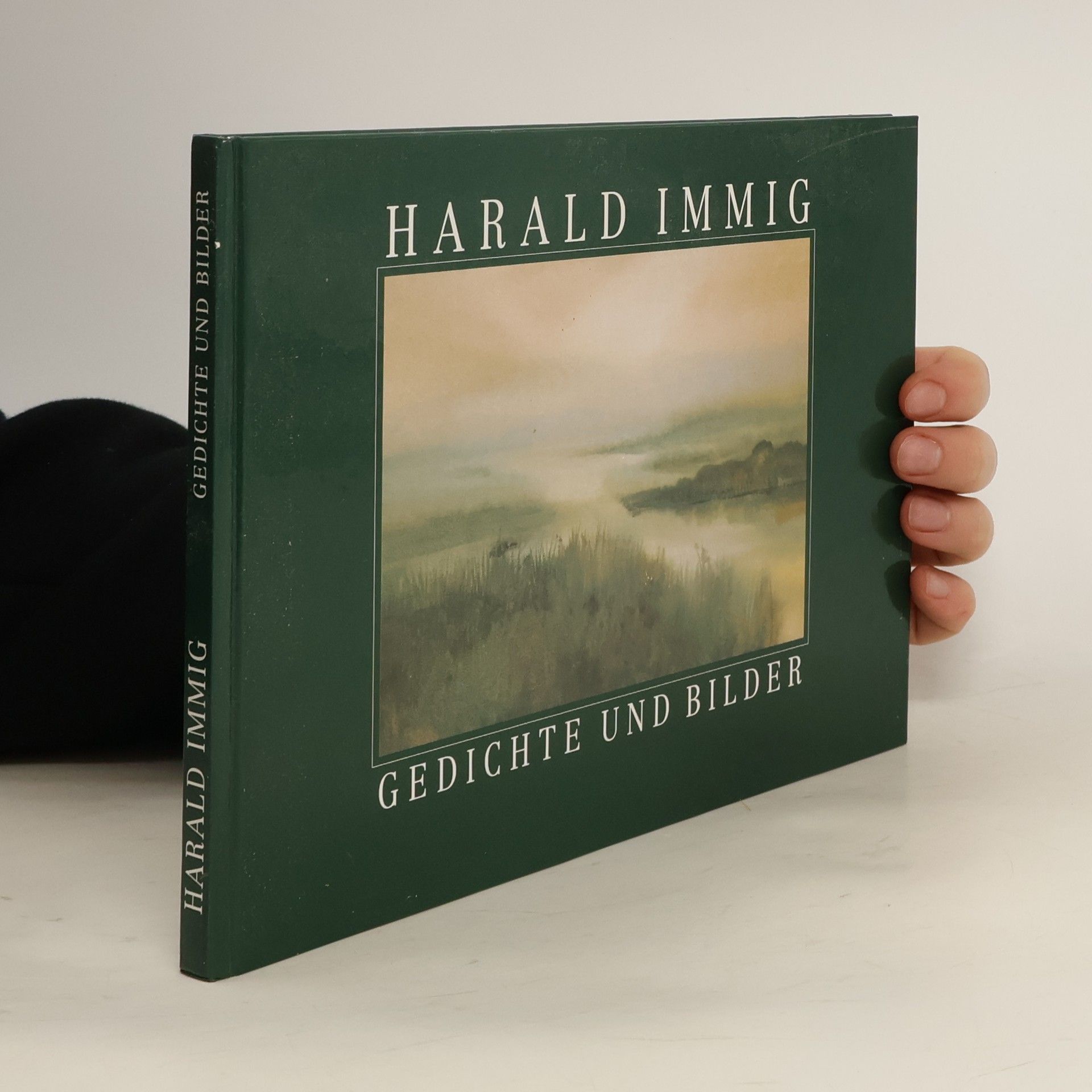Harald Immig Gedichte und Bilder