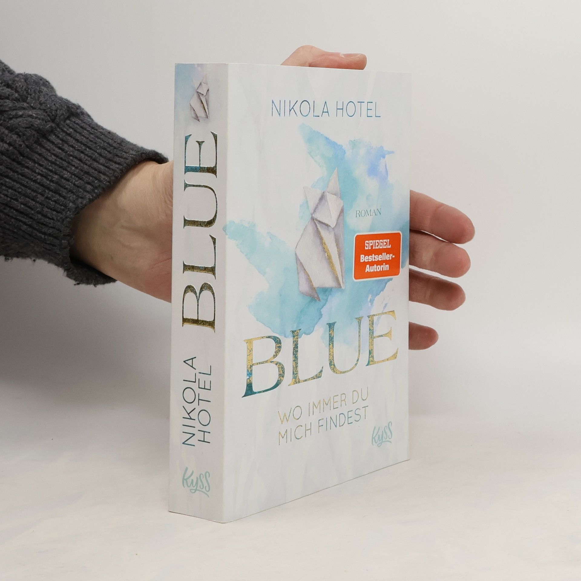 Nikola Hotel Blue. Wo immer du mich findest