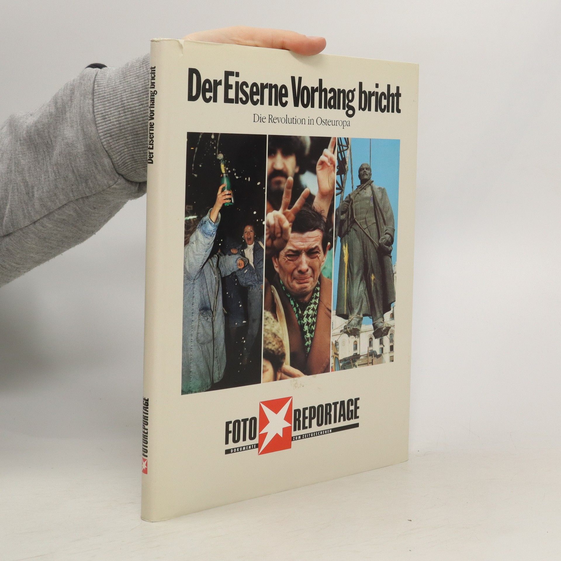 Mircea Dinescu Der Eiserne Vorhang bricht