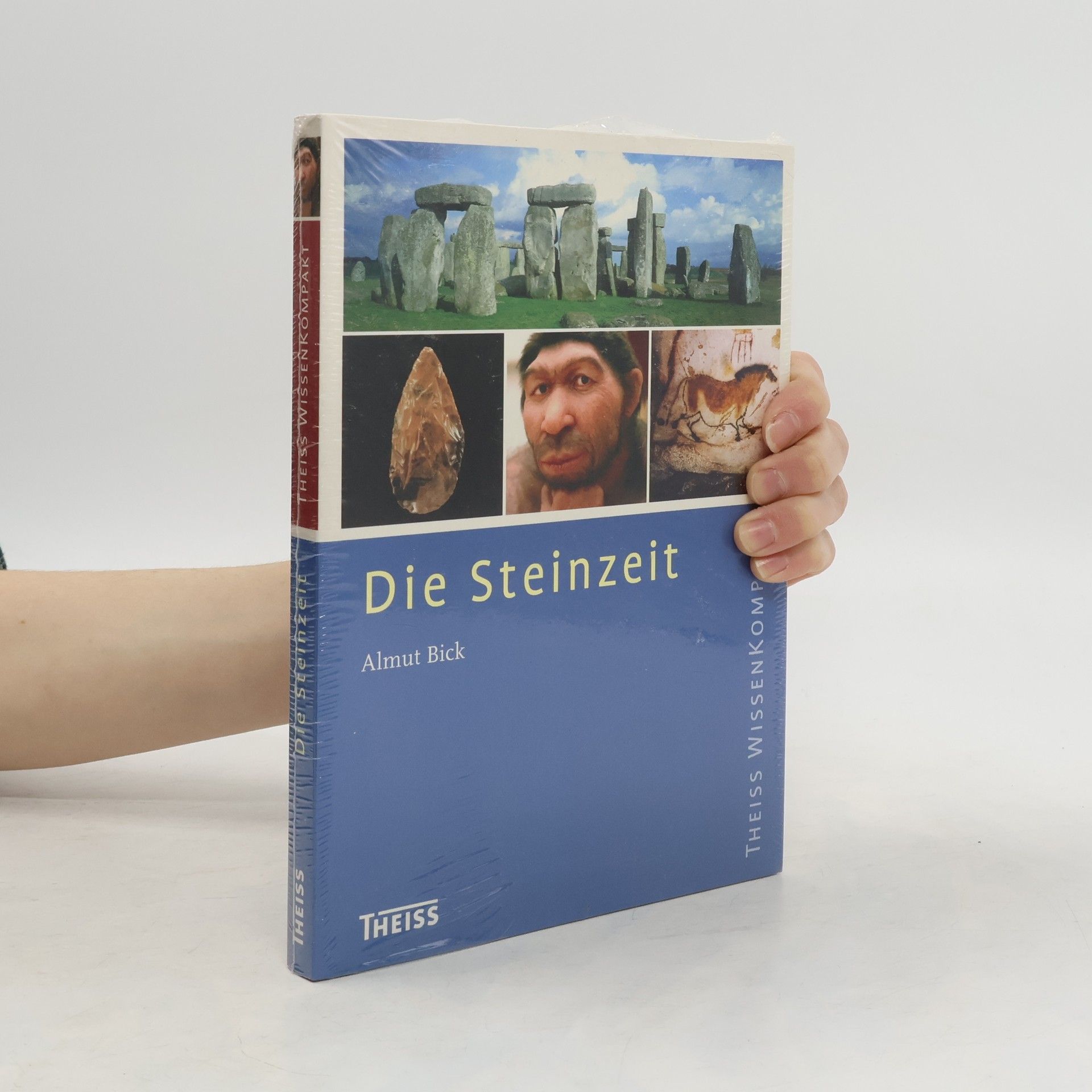 Almut Bick Steinzeit