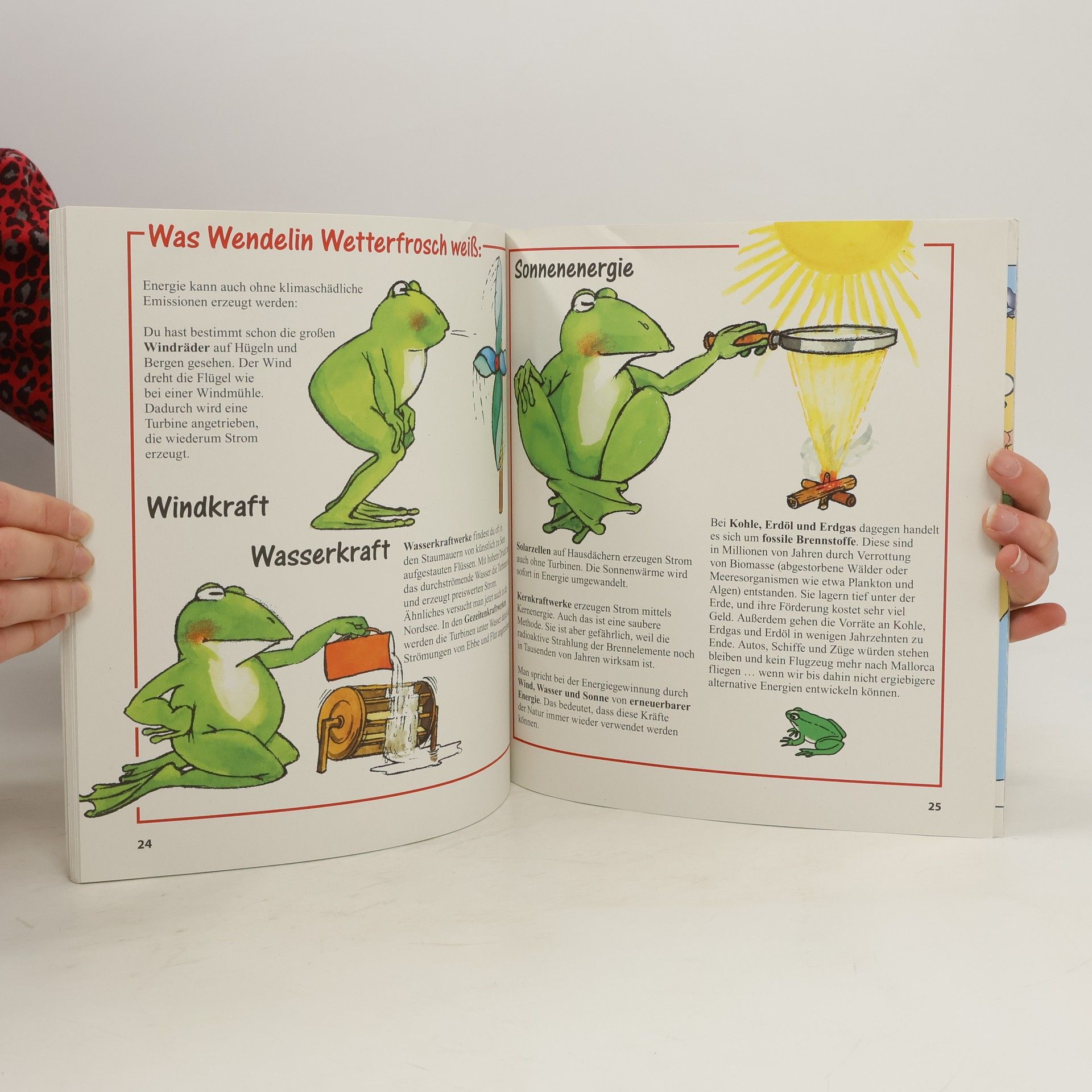 kolektiv Wir und unser Klima: Wendelin Wetterfrosch