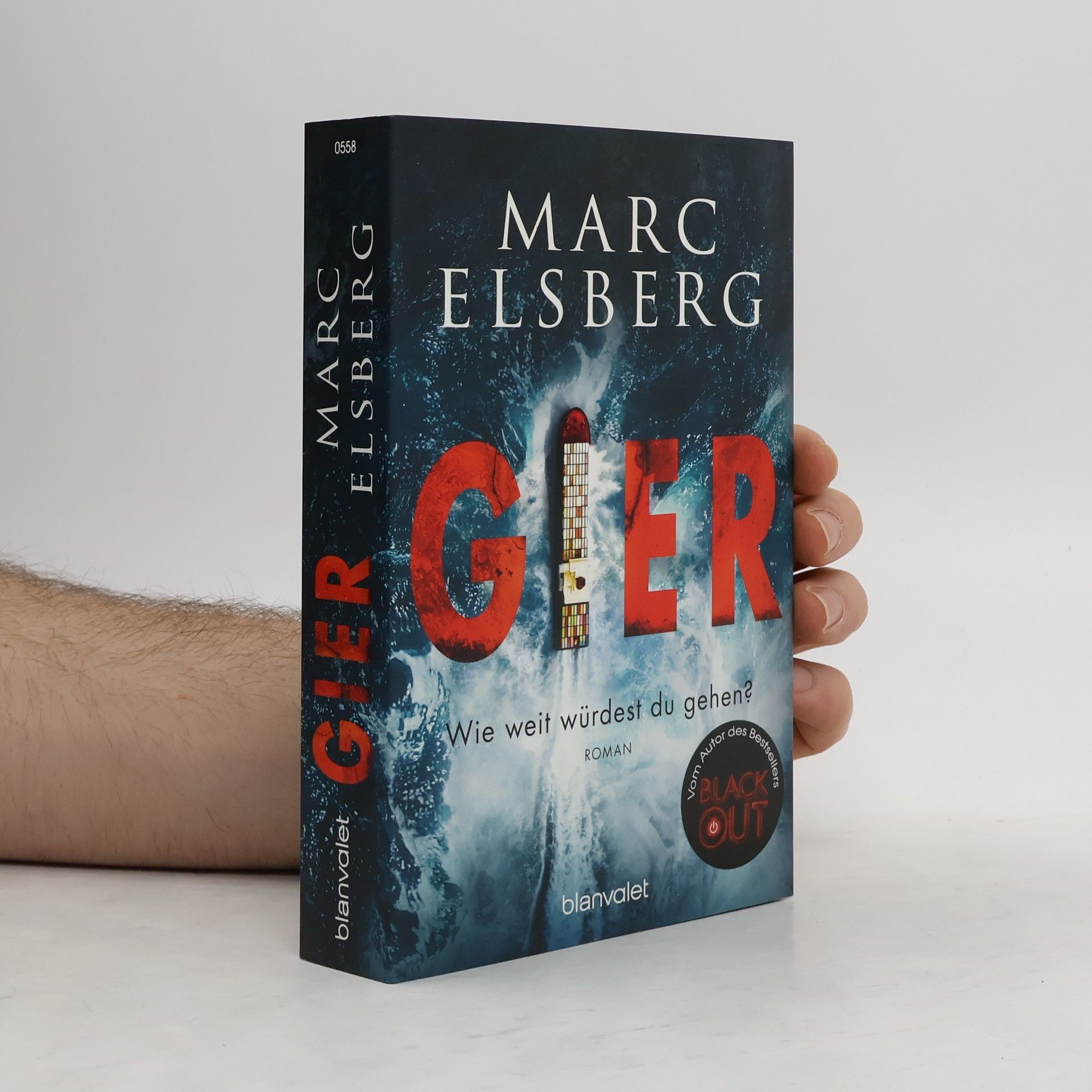 Marc Elsberg Gier