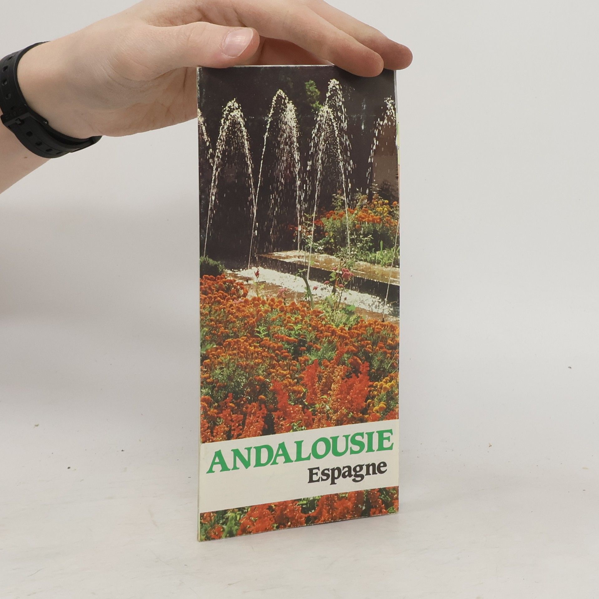 Kolektív autorov Andalouse Espagne