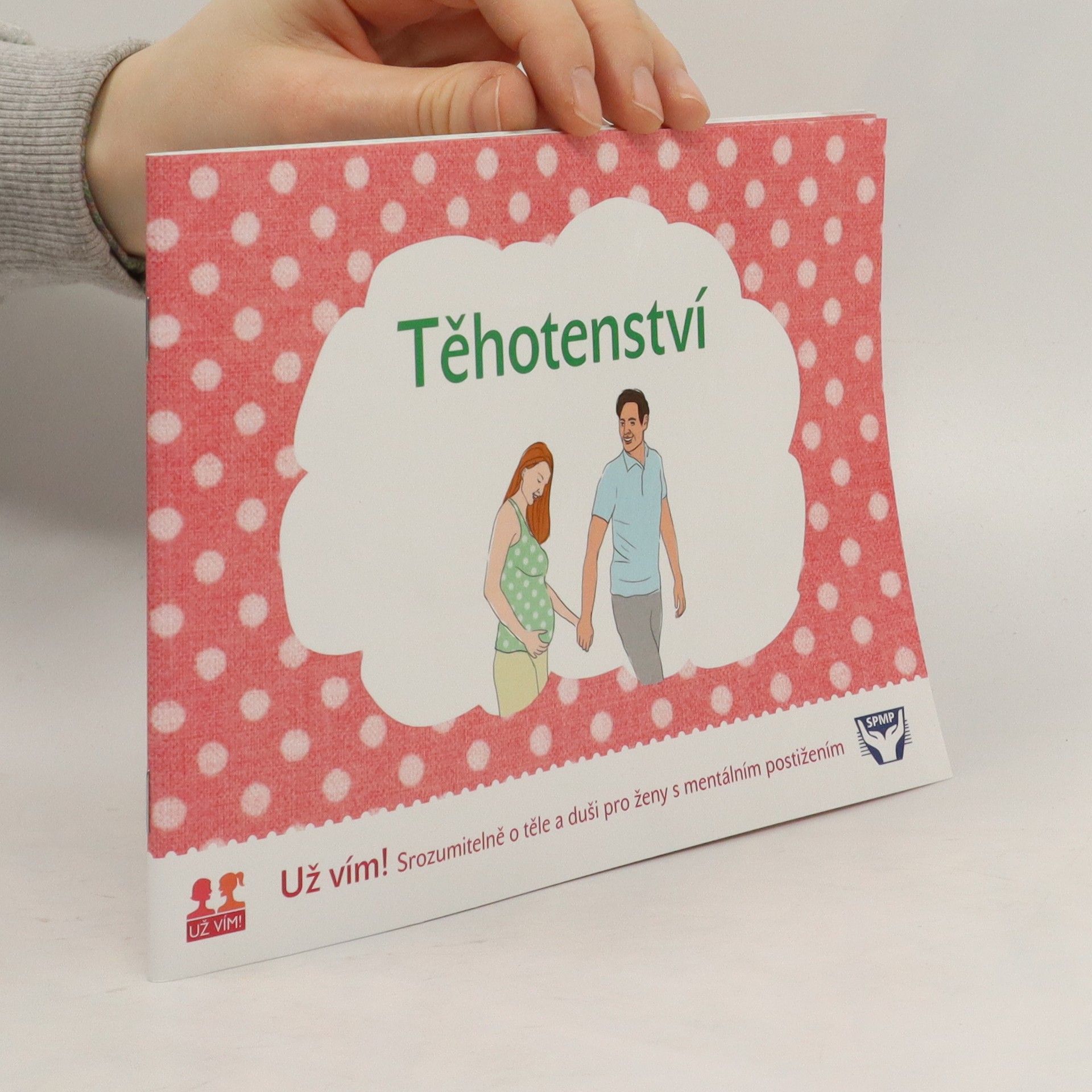 Kolektív autorov Těhotenství