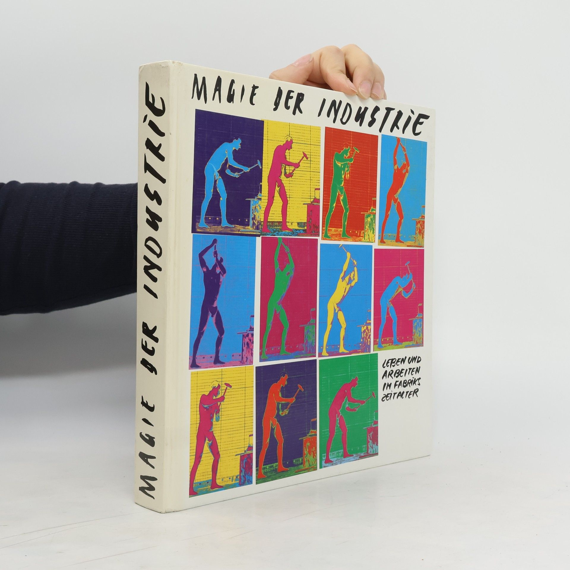 Autorenkollektiv Leben und Arbeiten im Fabrikszeitalter. Magie der Industrie