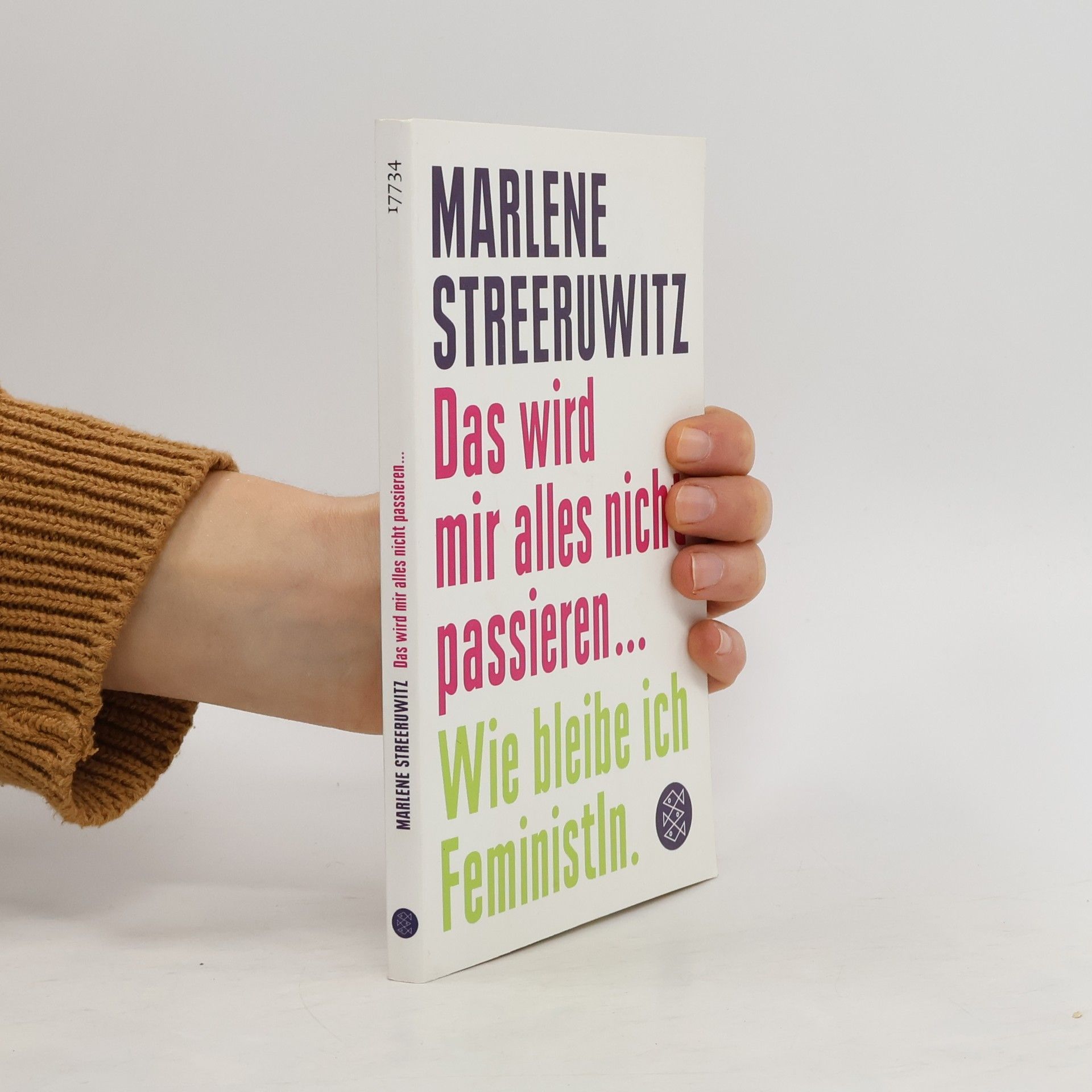 Marlene Streeruwitz Das wird mir alles nicht passieren ...