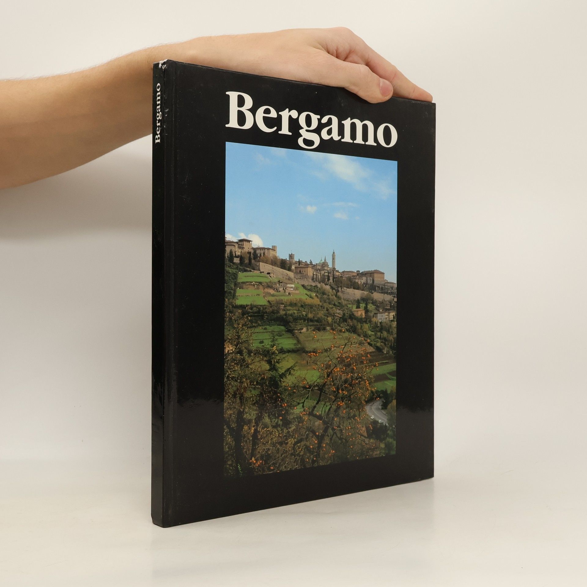 Auteurscollectief Bergamo
