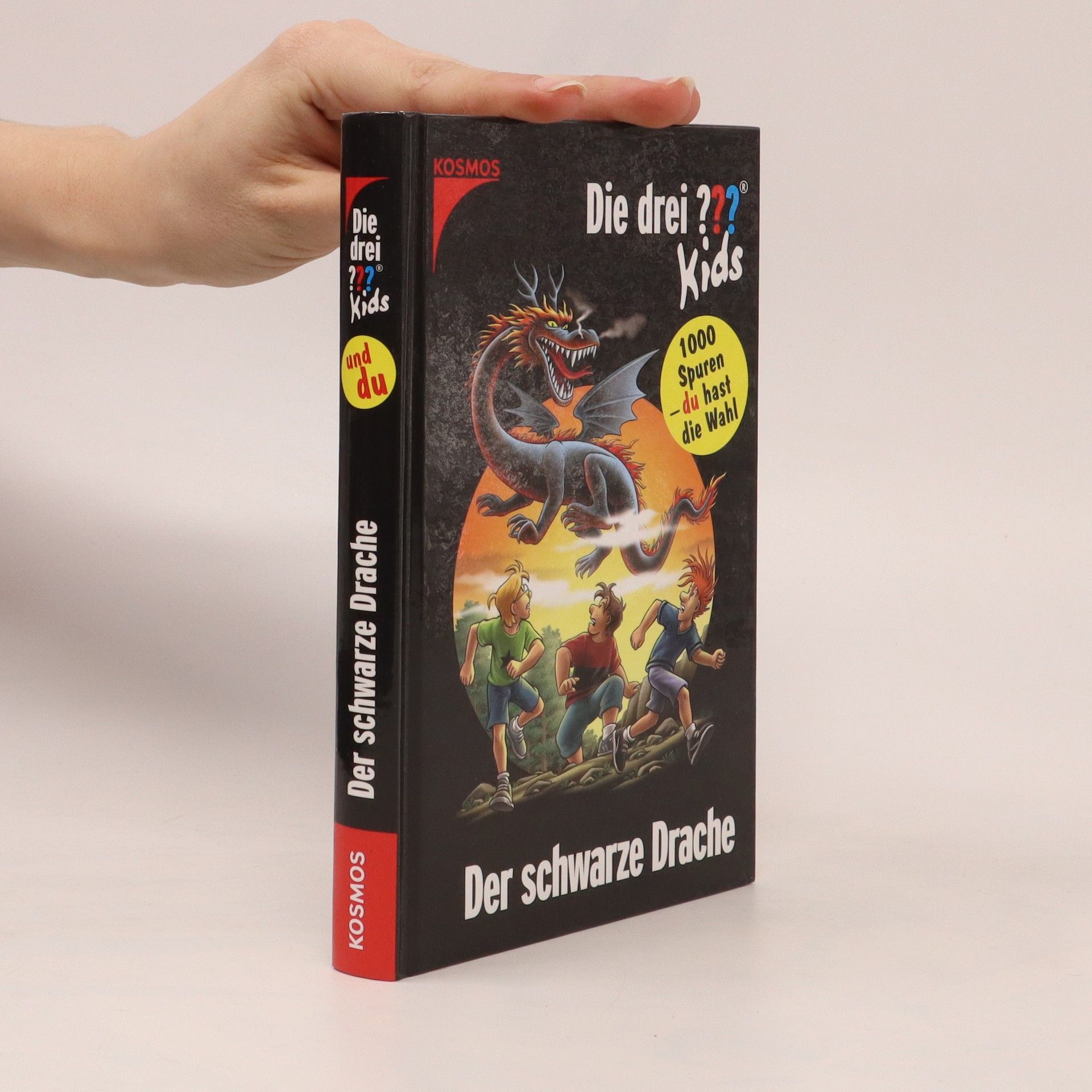 Boris Pfeiffer Der schwarze Drache