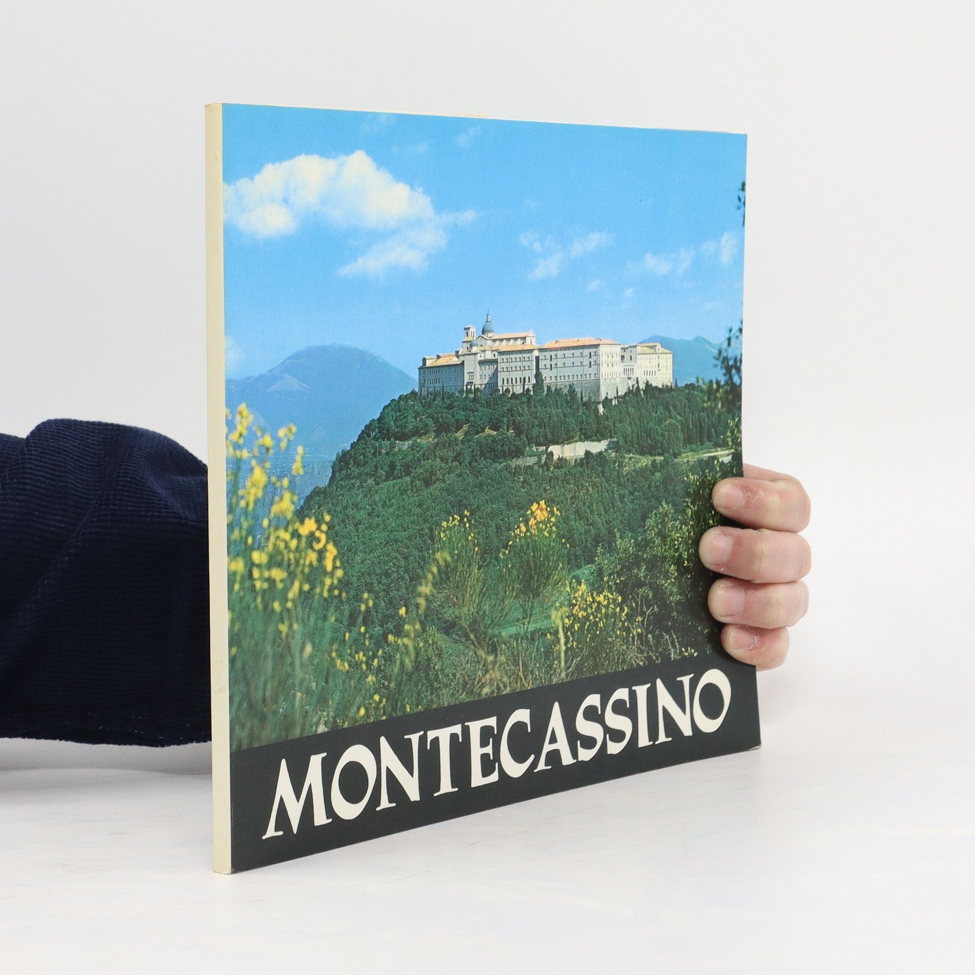 AA.VV. Montecassino