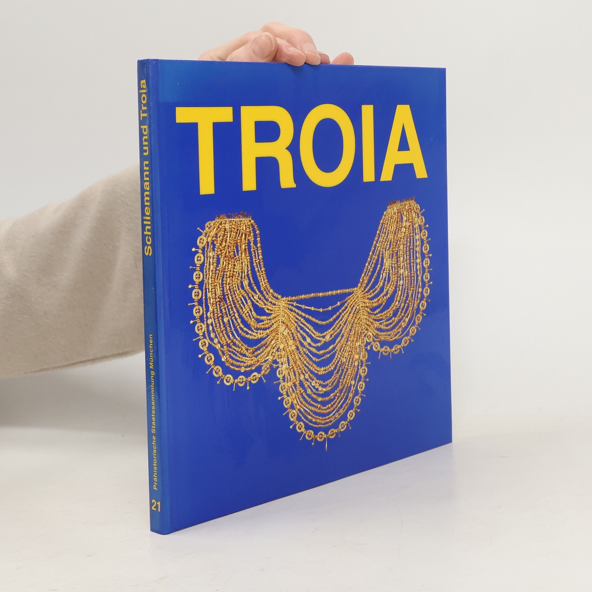 Collectif d'auteurs Schliemann und Troia