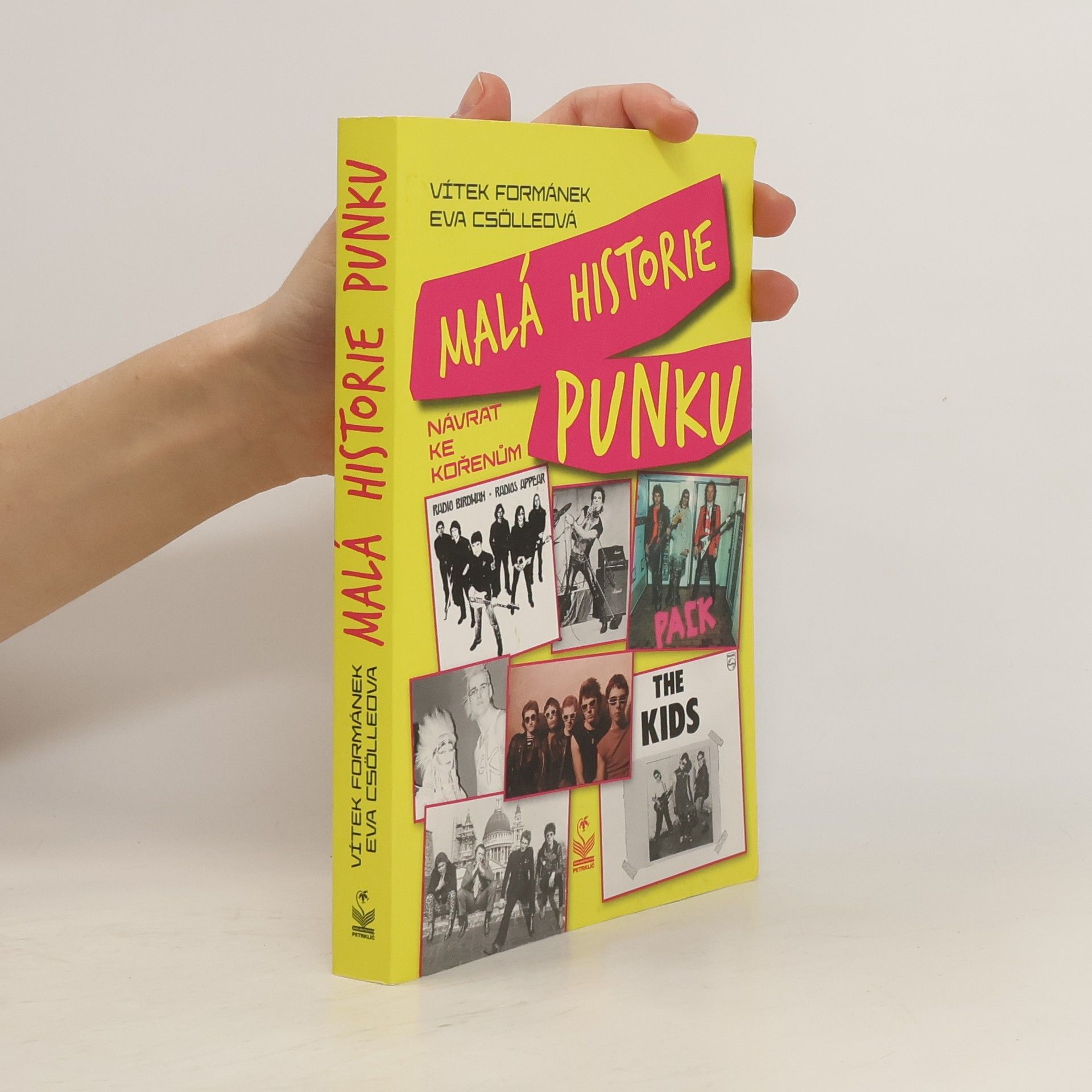 Eva Csölleová Malá historie punku
