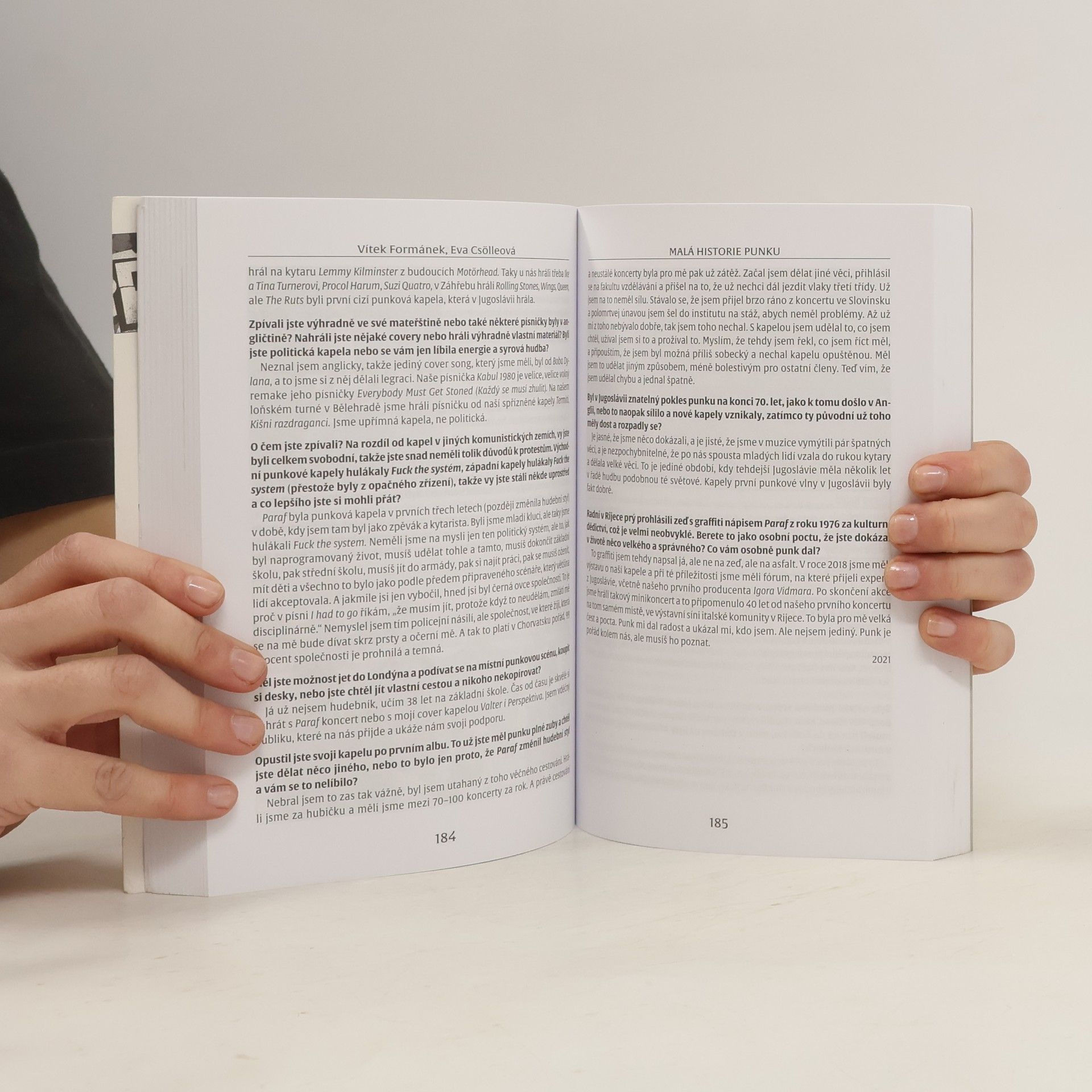 Eva Csölleová Malá historie punku