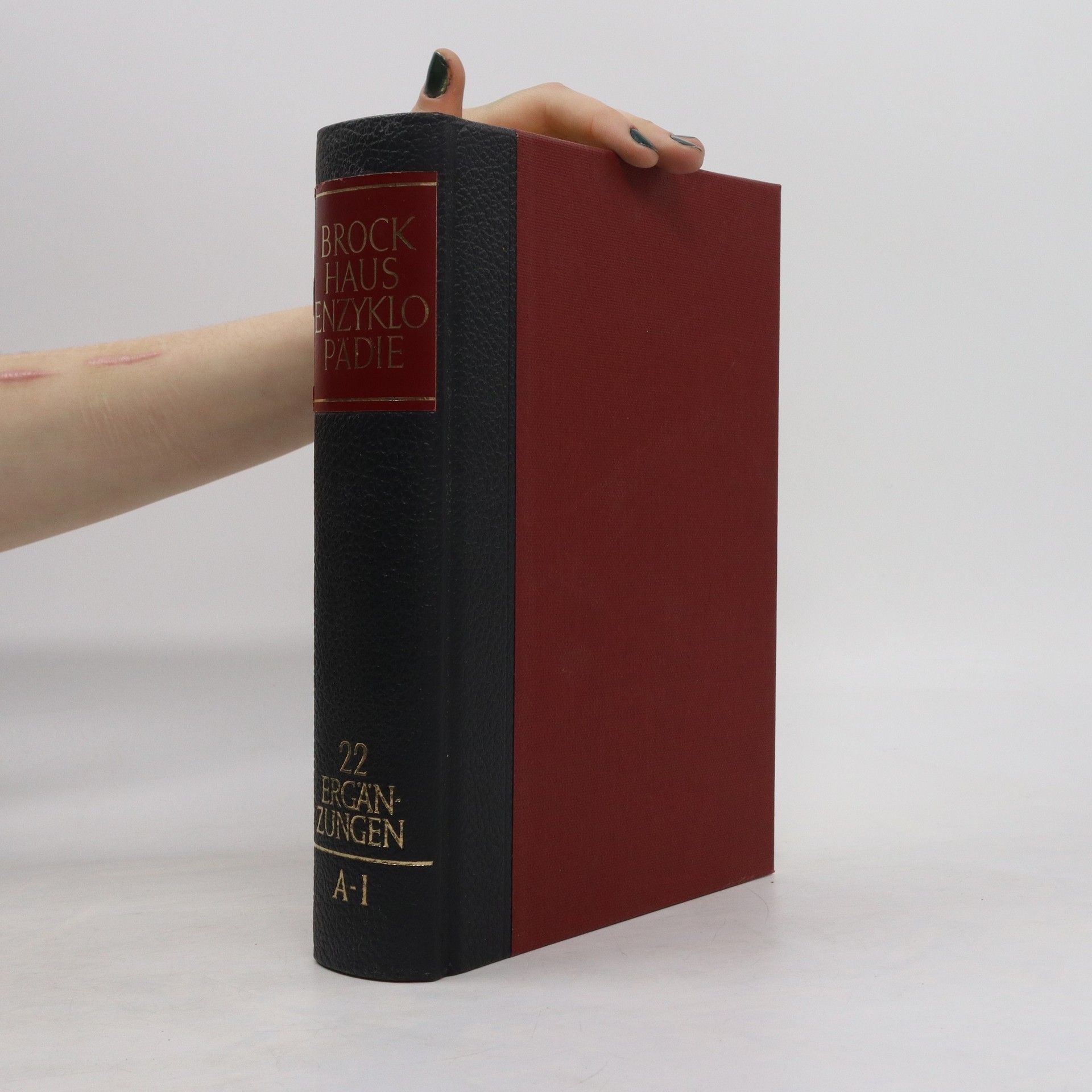 Collectif d'auteurs Brockhaus Enzyklopädie 22