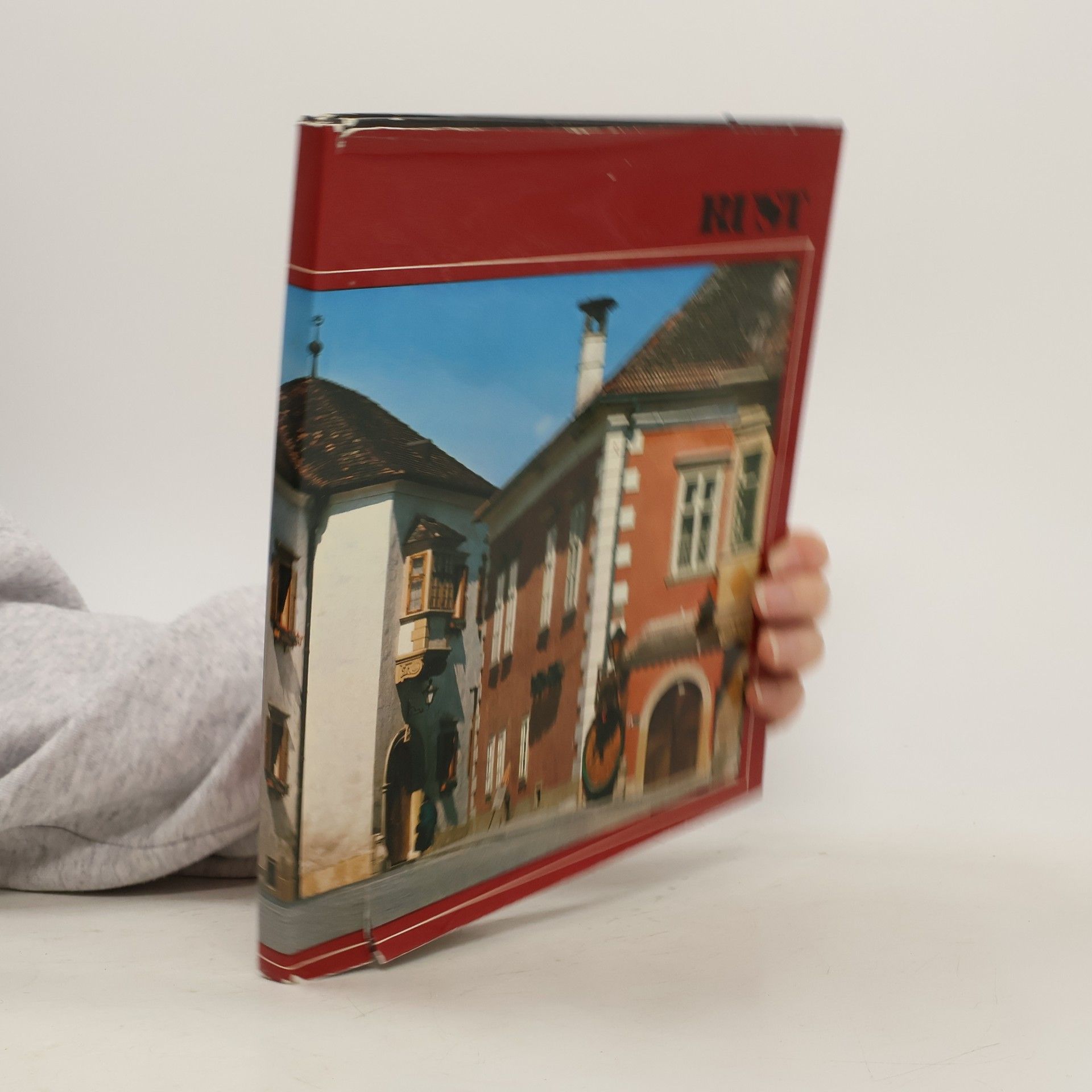 Autorenkollektiv Wien. Stadt am Neusiedlersee