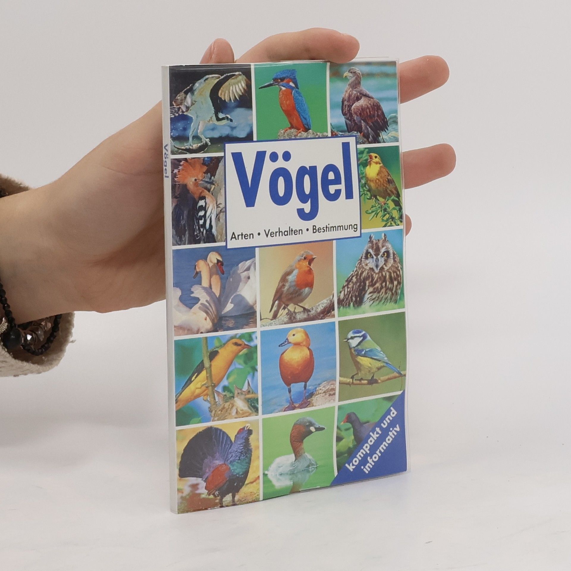 Autorenkollektiv Vögel