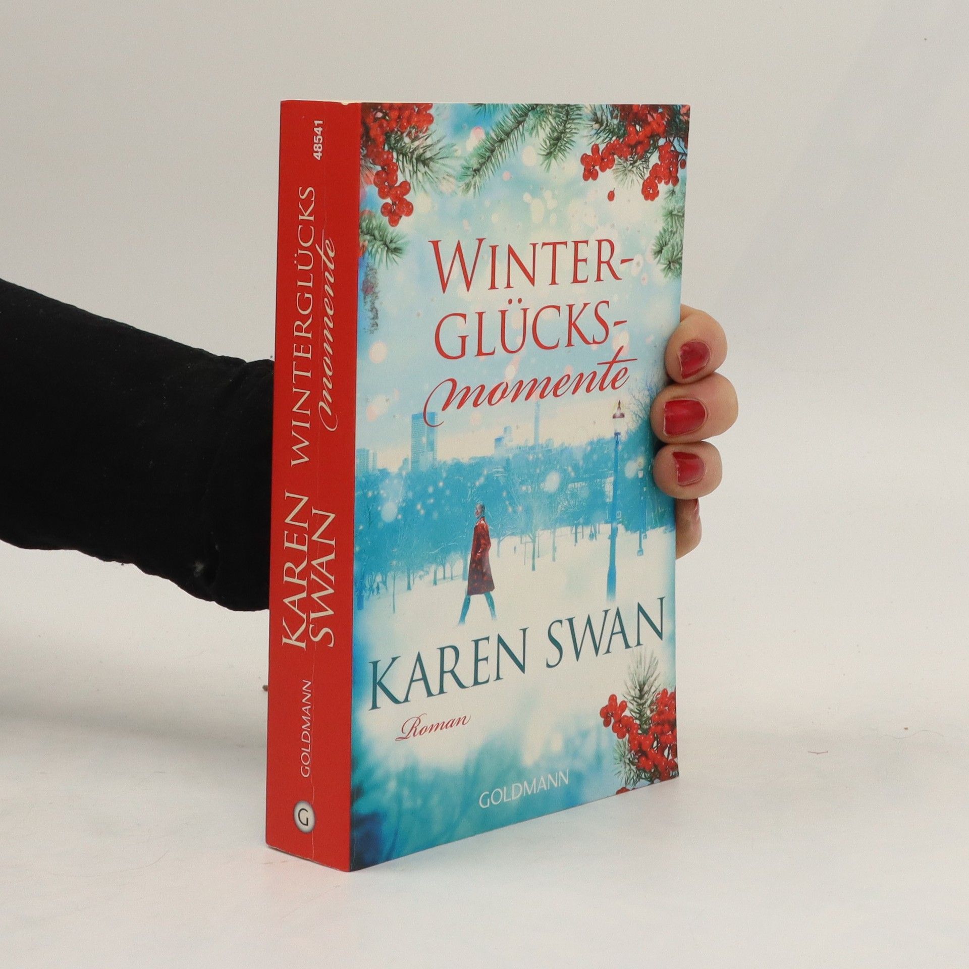 Karen Swan Winterglücksmomente