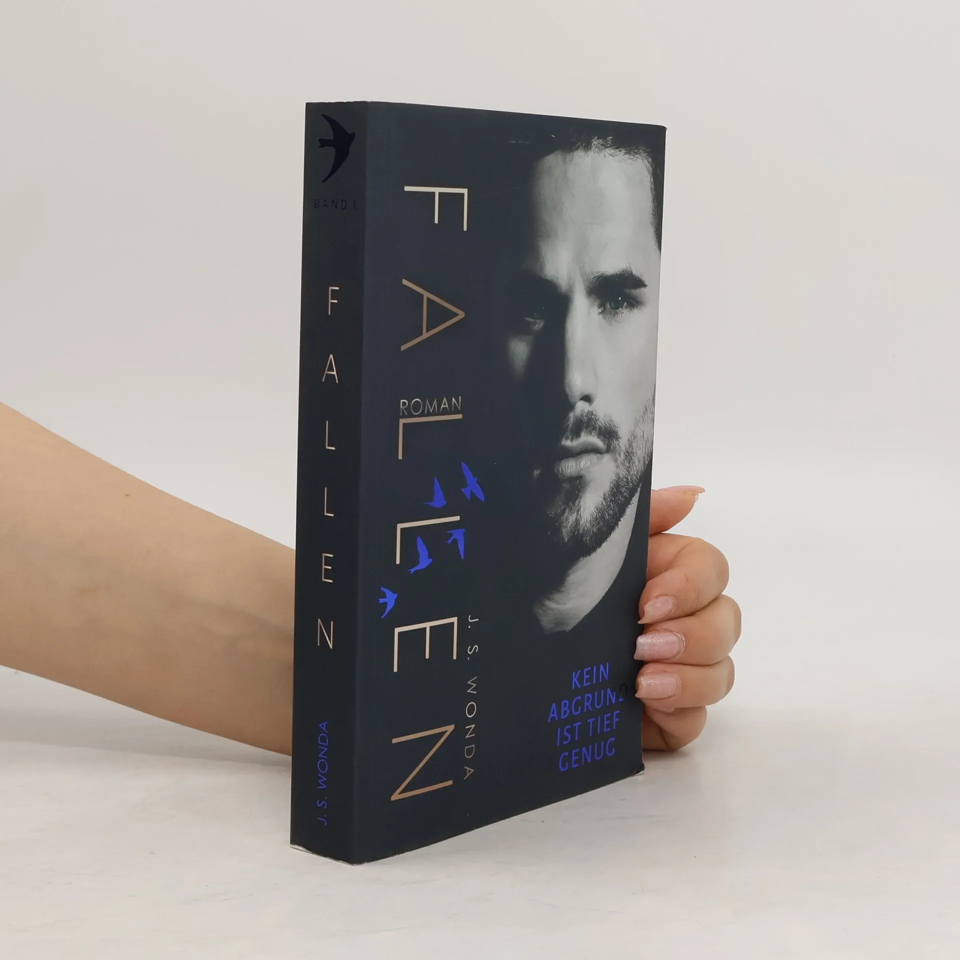 Fallen | Book | Jane S. Wonda | DE