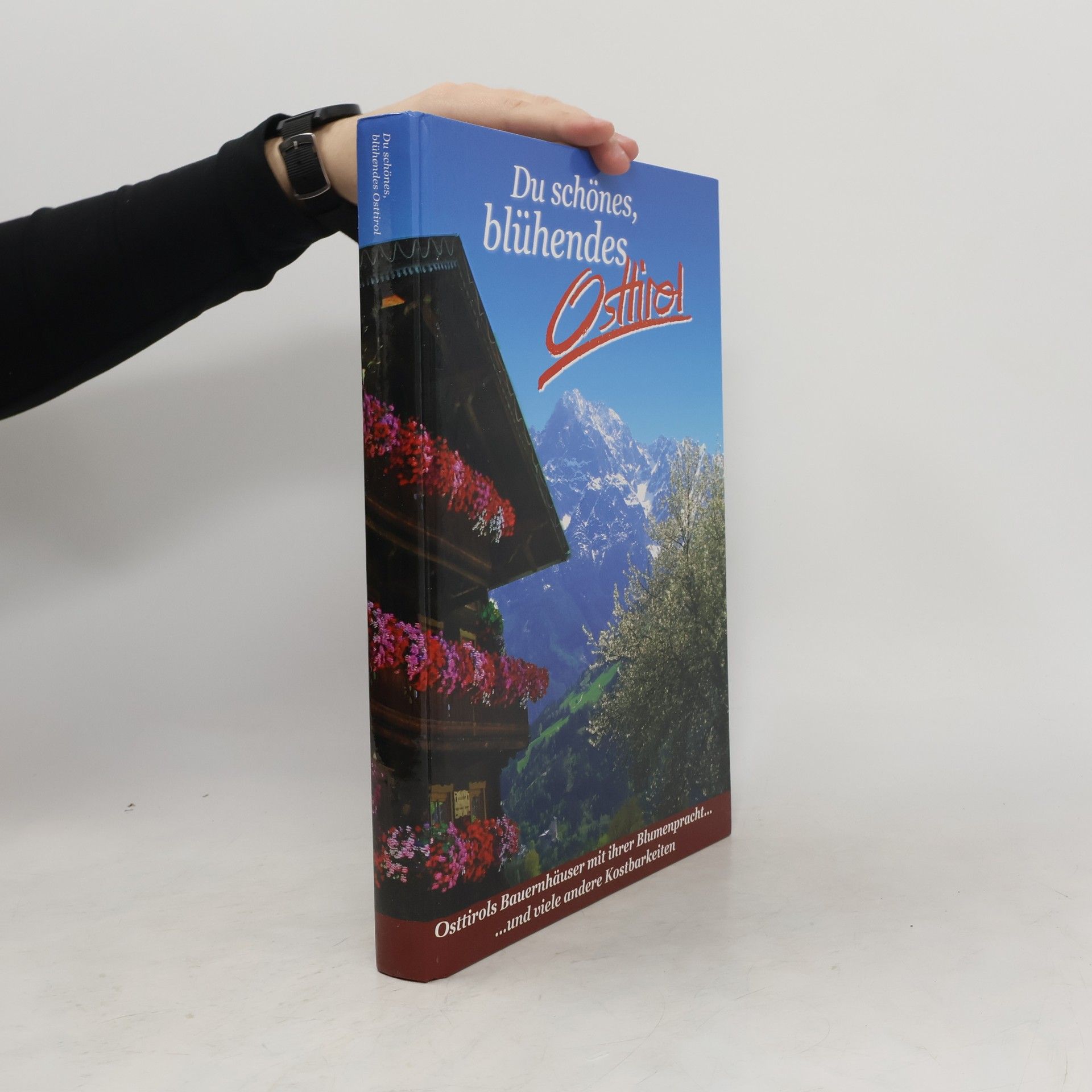 Autorenkollektiv Du schönes, blühendes Osttirol