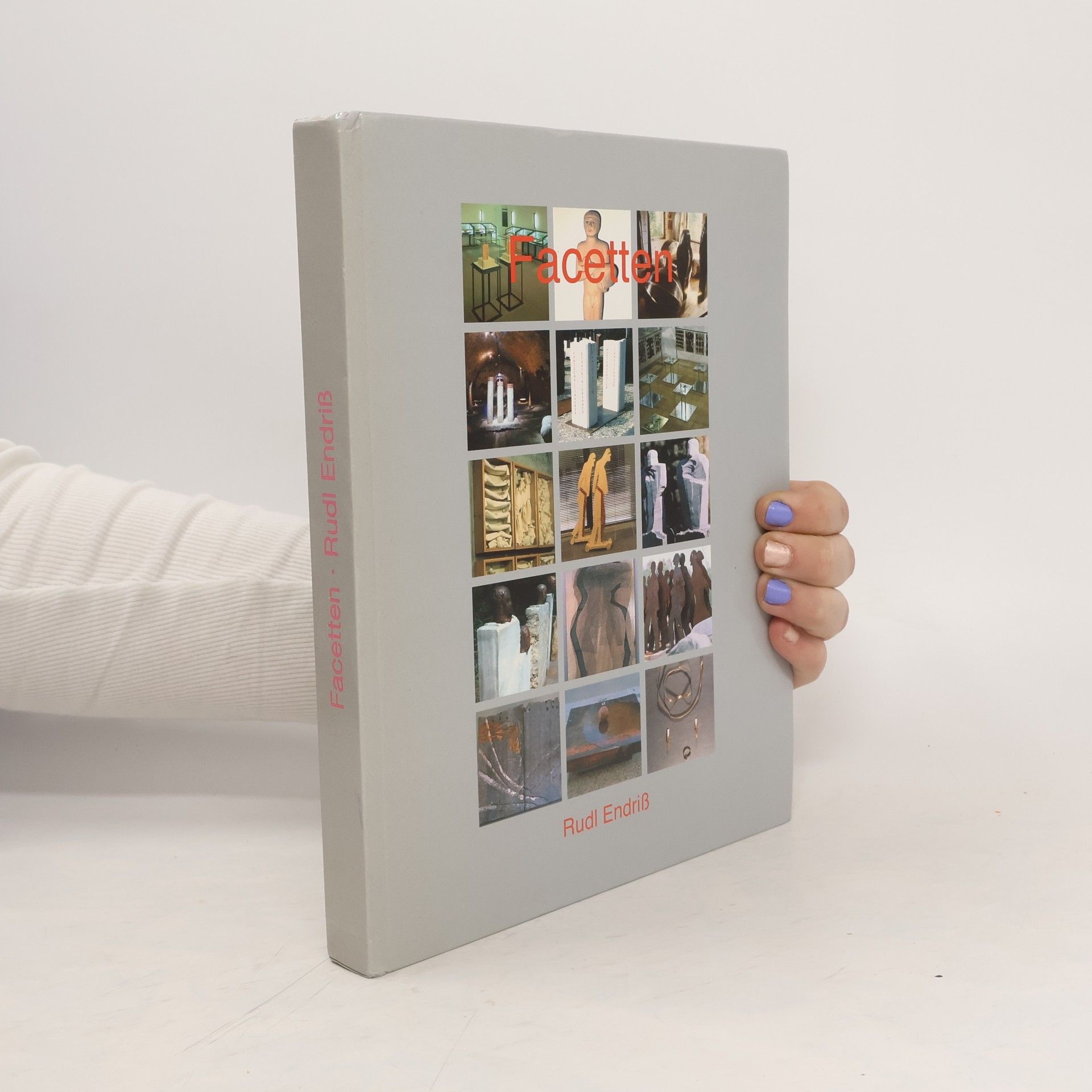 Rudl Endriß Facetten - Rudl Endriß