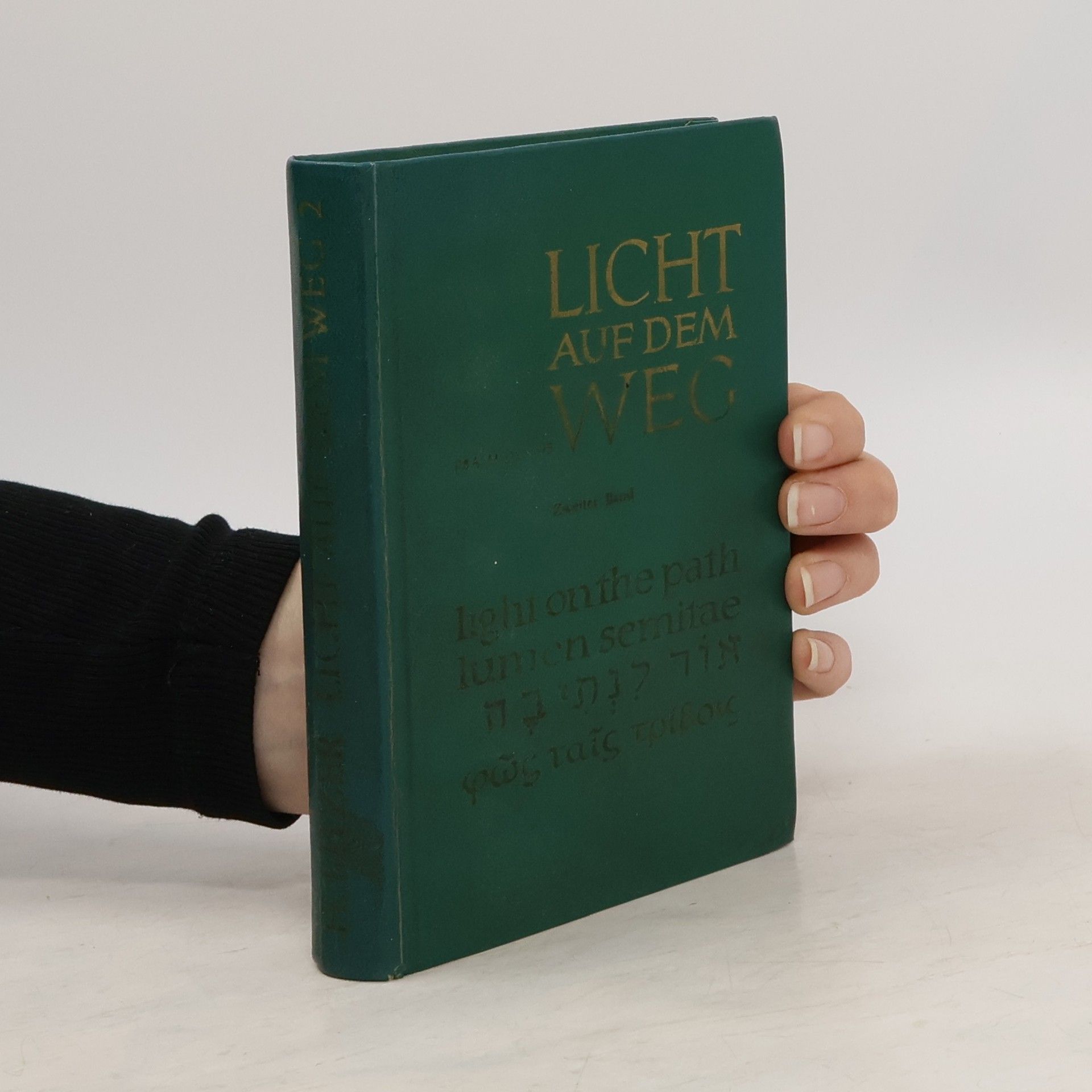 Licht auf dem Weg. Light on the path. Lumen Semitae. II