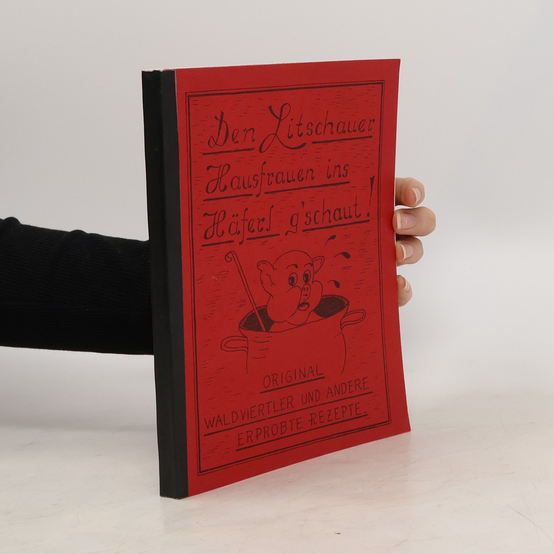 Collectif d'auteurs Den Litschauer Hausfrauen ins Häfers g'schaut!