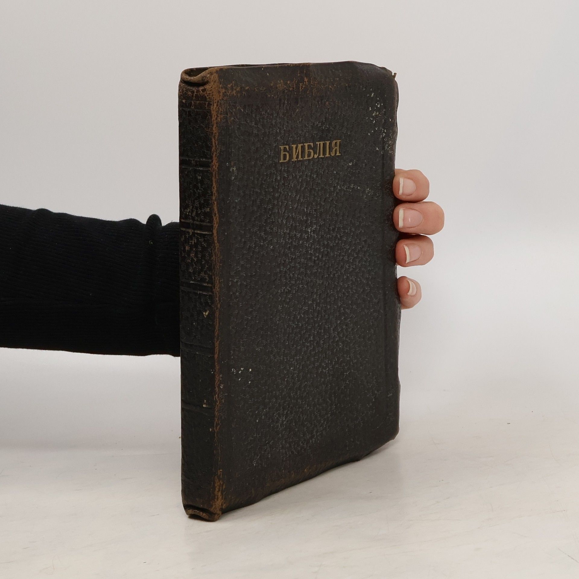 Autorenkollektiv Russian Bible. БИБЛІЯ. BYBLIYA