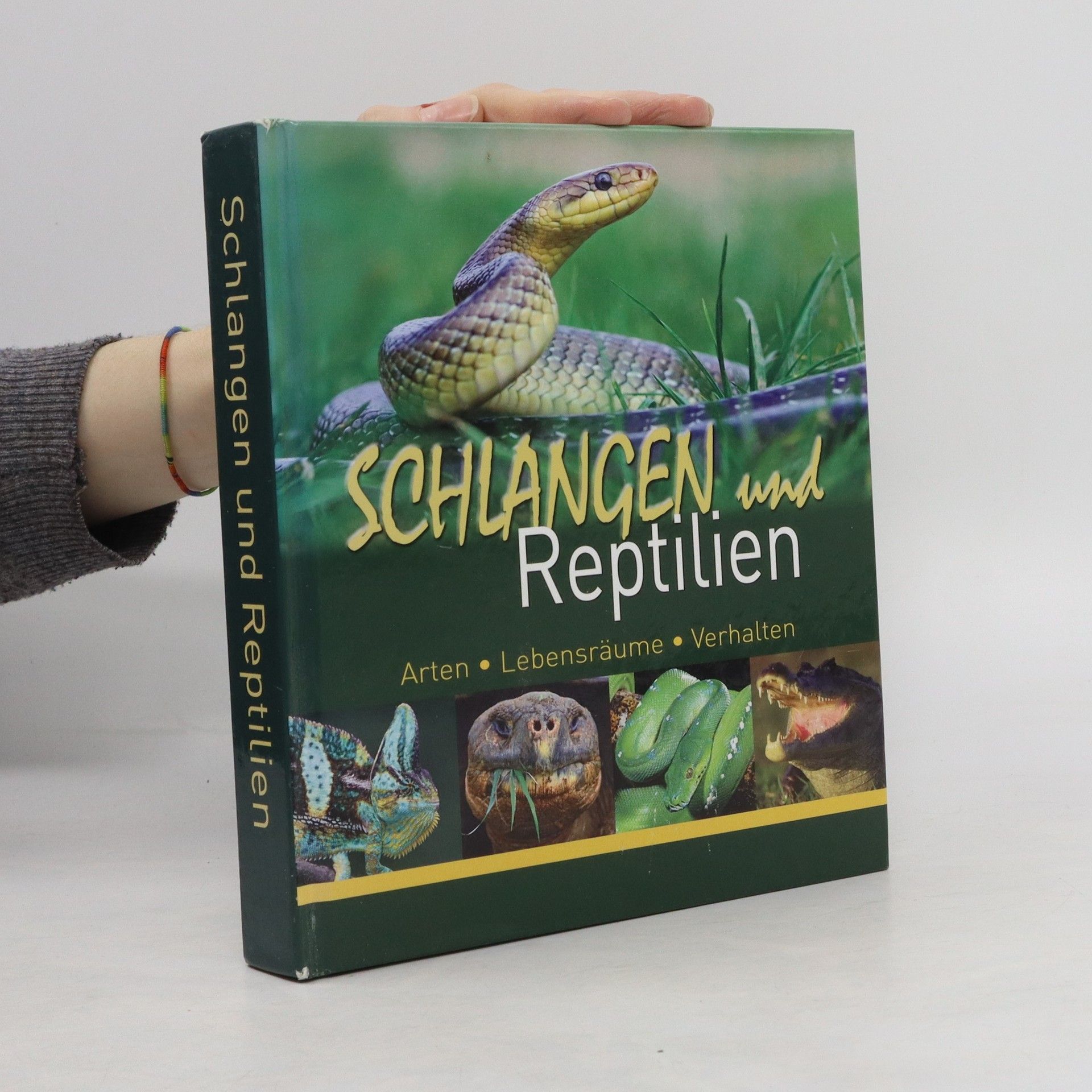 Collectif d'auteurs Schlangen und Reptilien