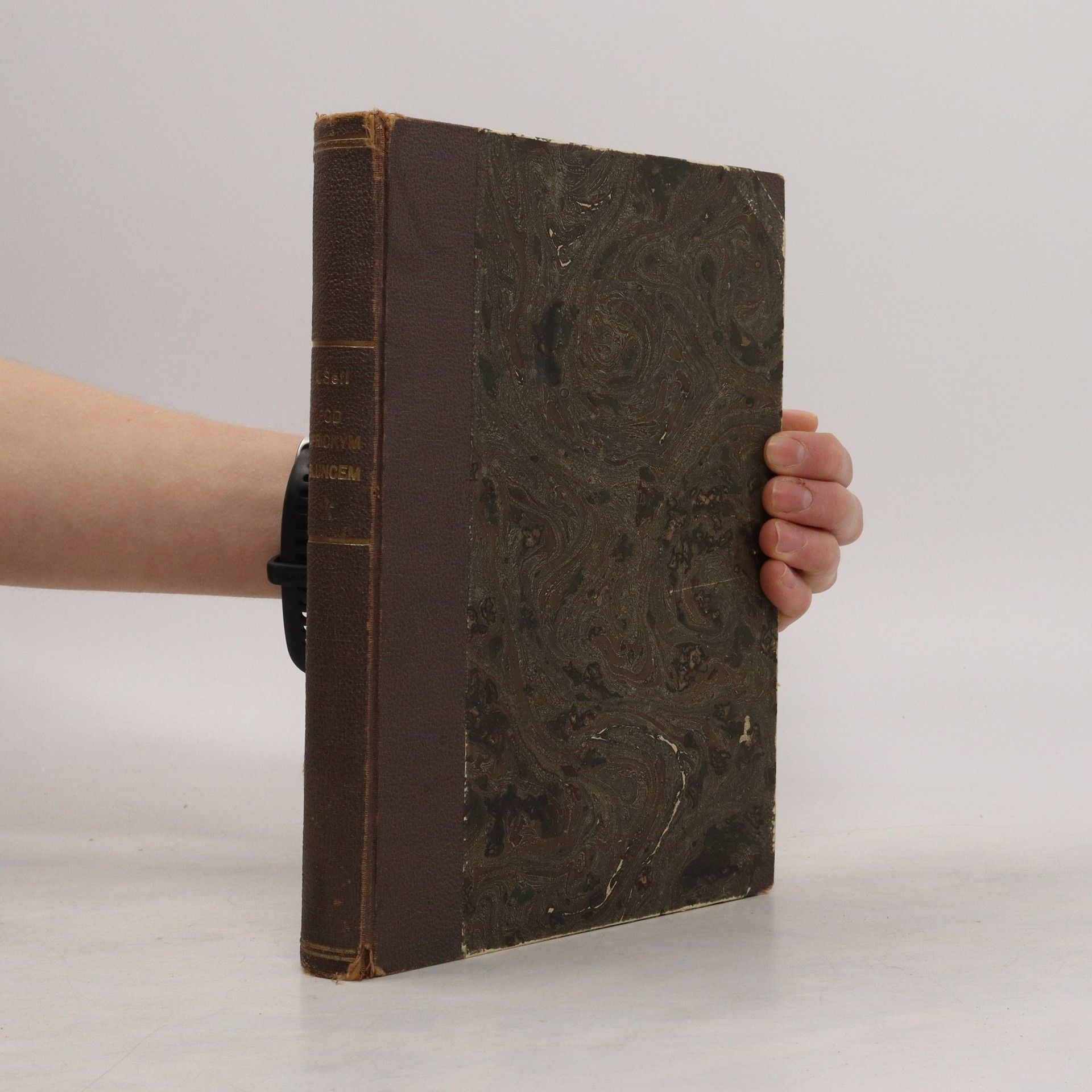 Alois Šefl Pod africkým sluncem