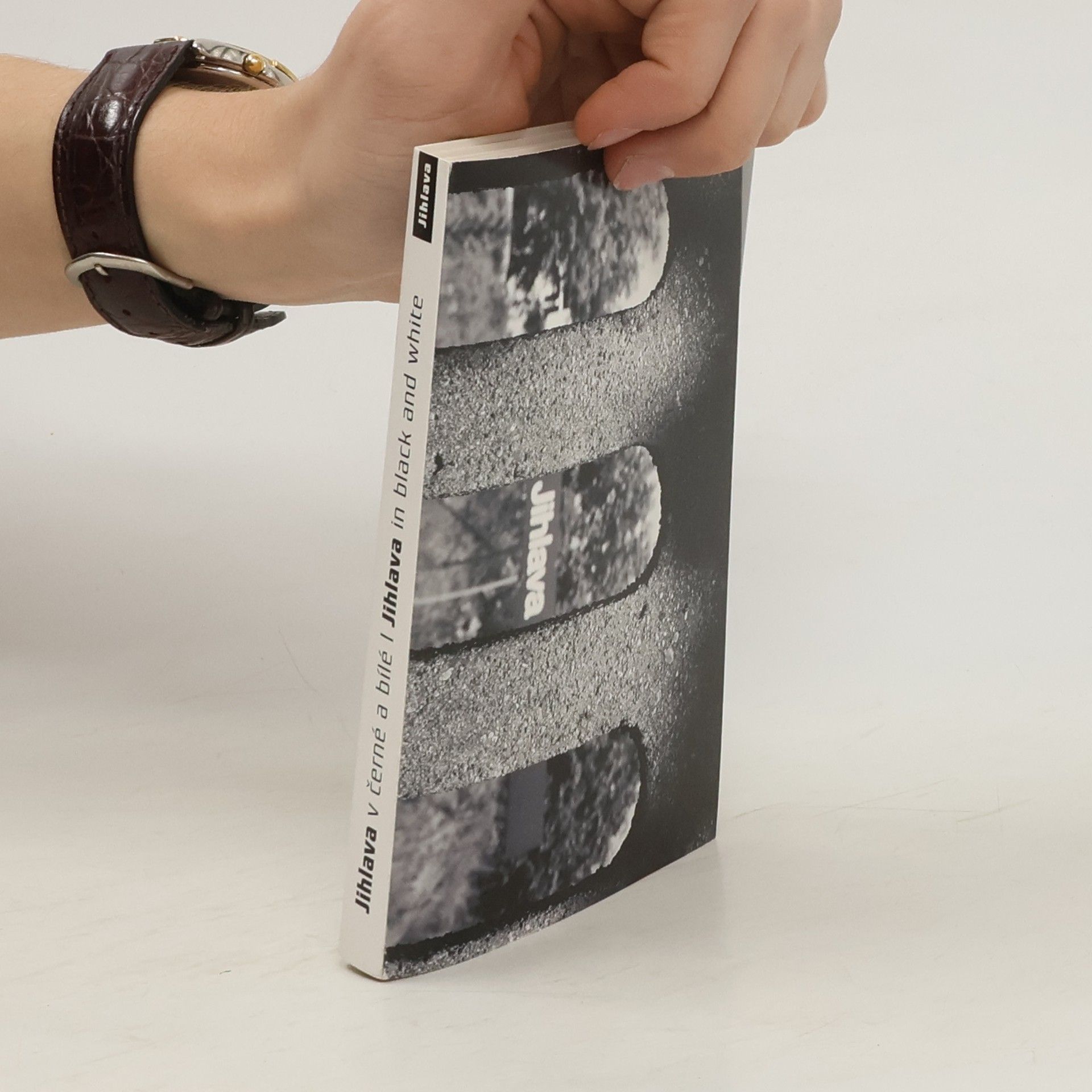 AA.VV. Jihlava v černé a bílé